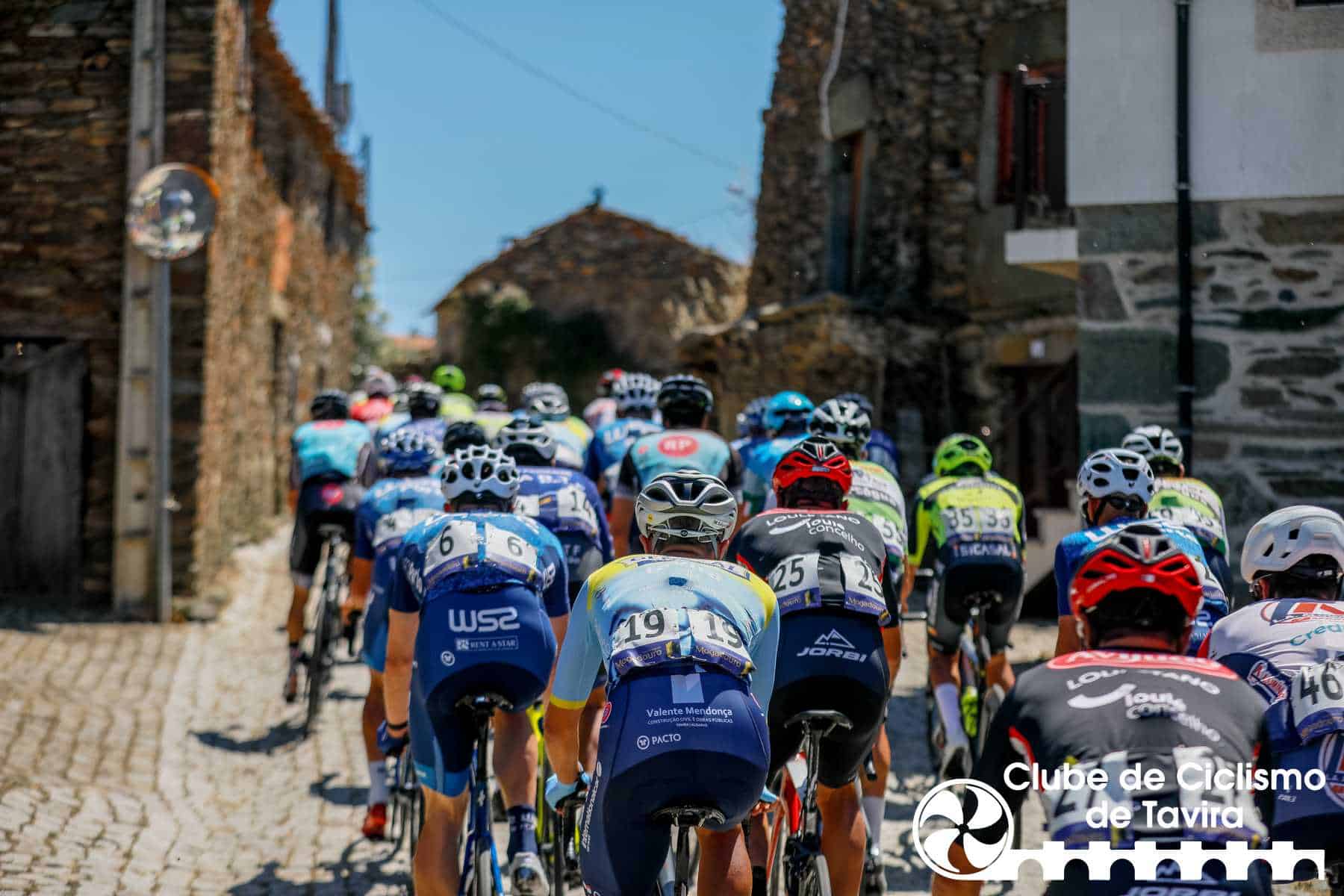 Photo © João Fonseca Photographer Photo © João Fonseca Photographer