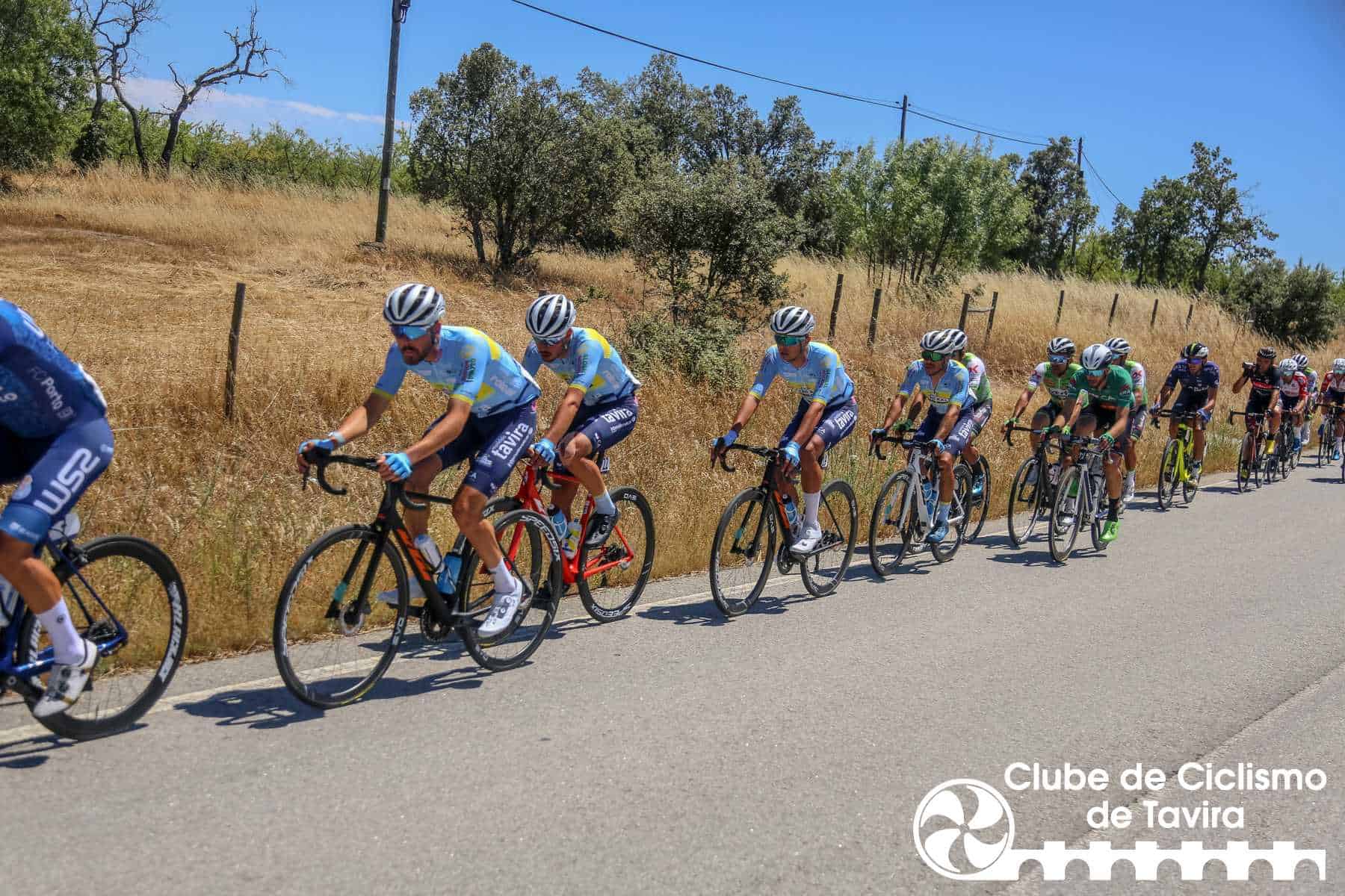 Photo © João Fonseca Photographer Photo © João Fonseca Photographer