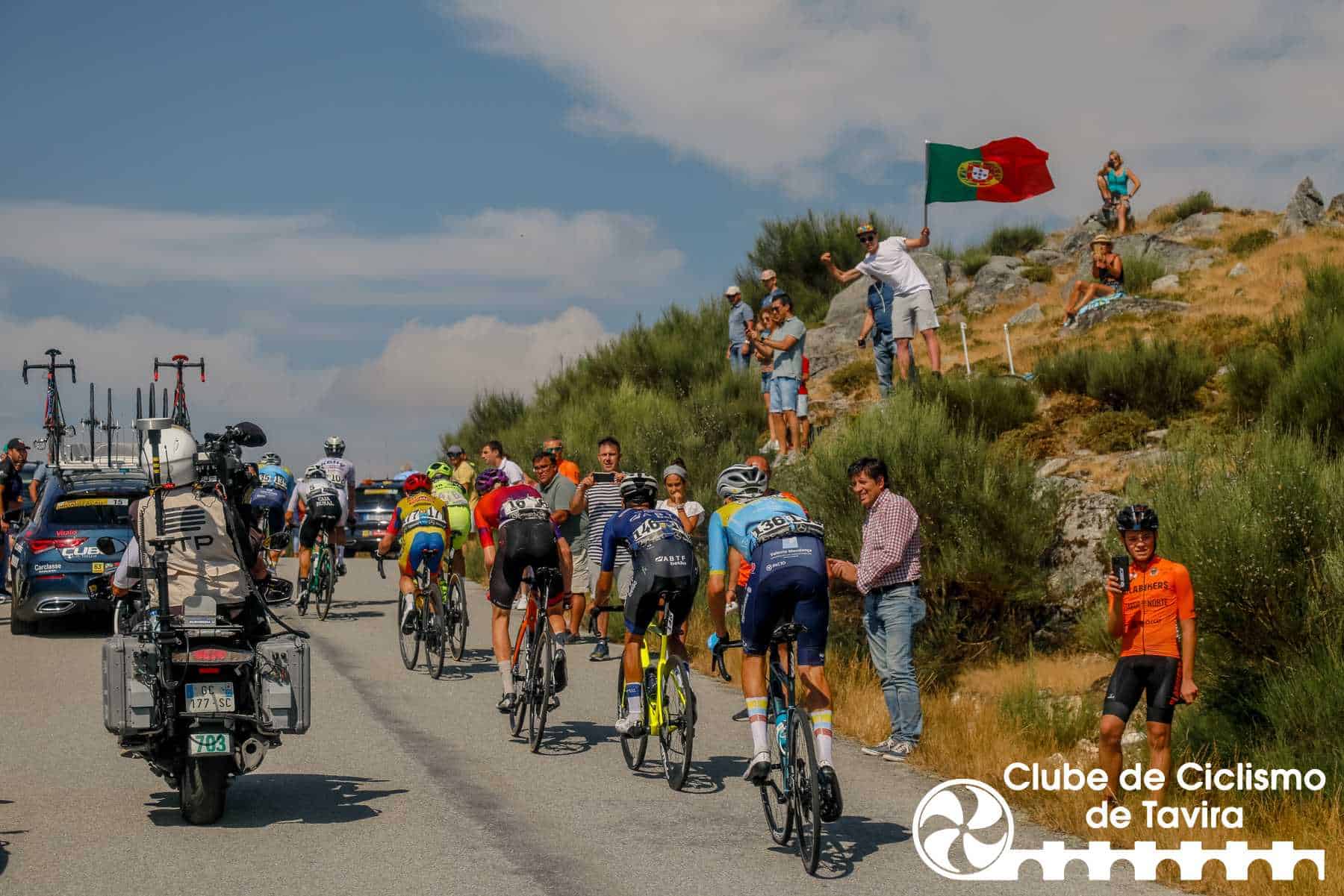 Photo © João Fonseca Photographer Photo © João Fonseca Photographer