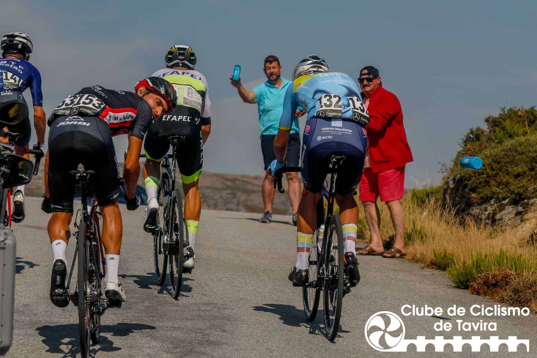 Photo © João Fonseca Photographer Photo © João Fonseca Photographer