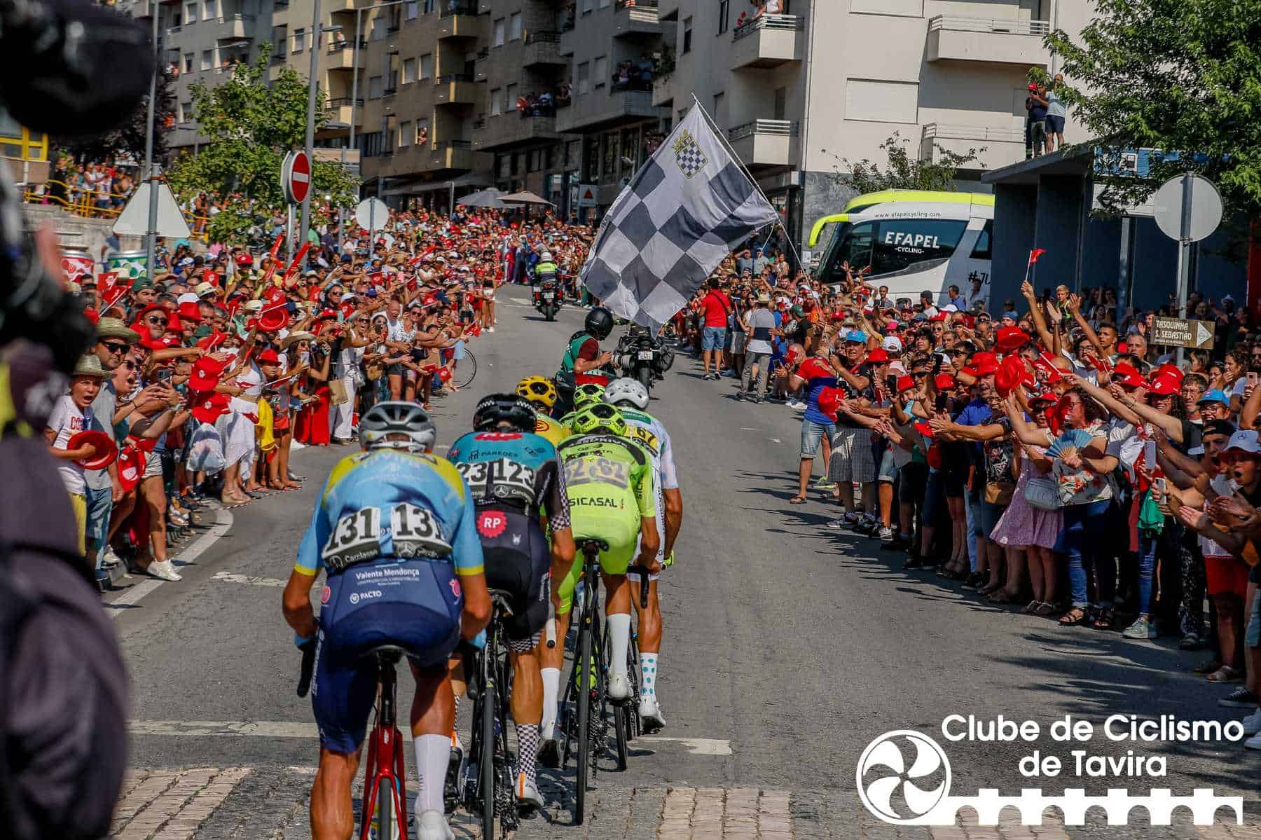 Photo © João Fonseca Photographer Photo © João Fonseca Photographer