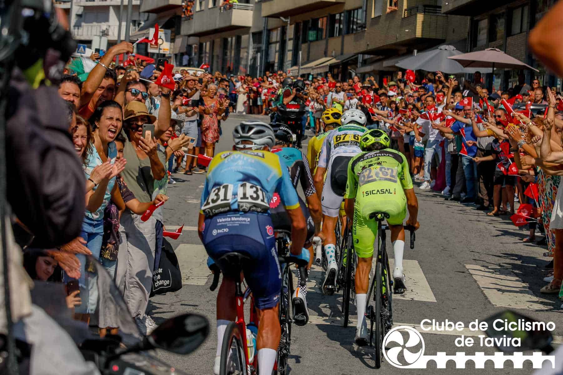 Photo © João Fonseca Photographer Photo © João Fonseca Photographer