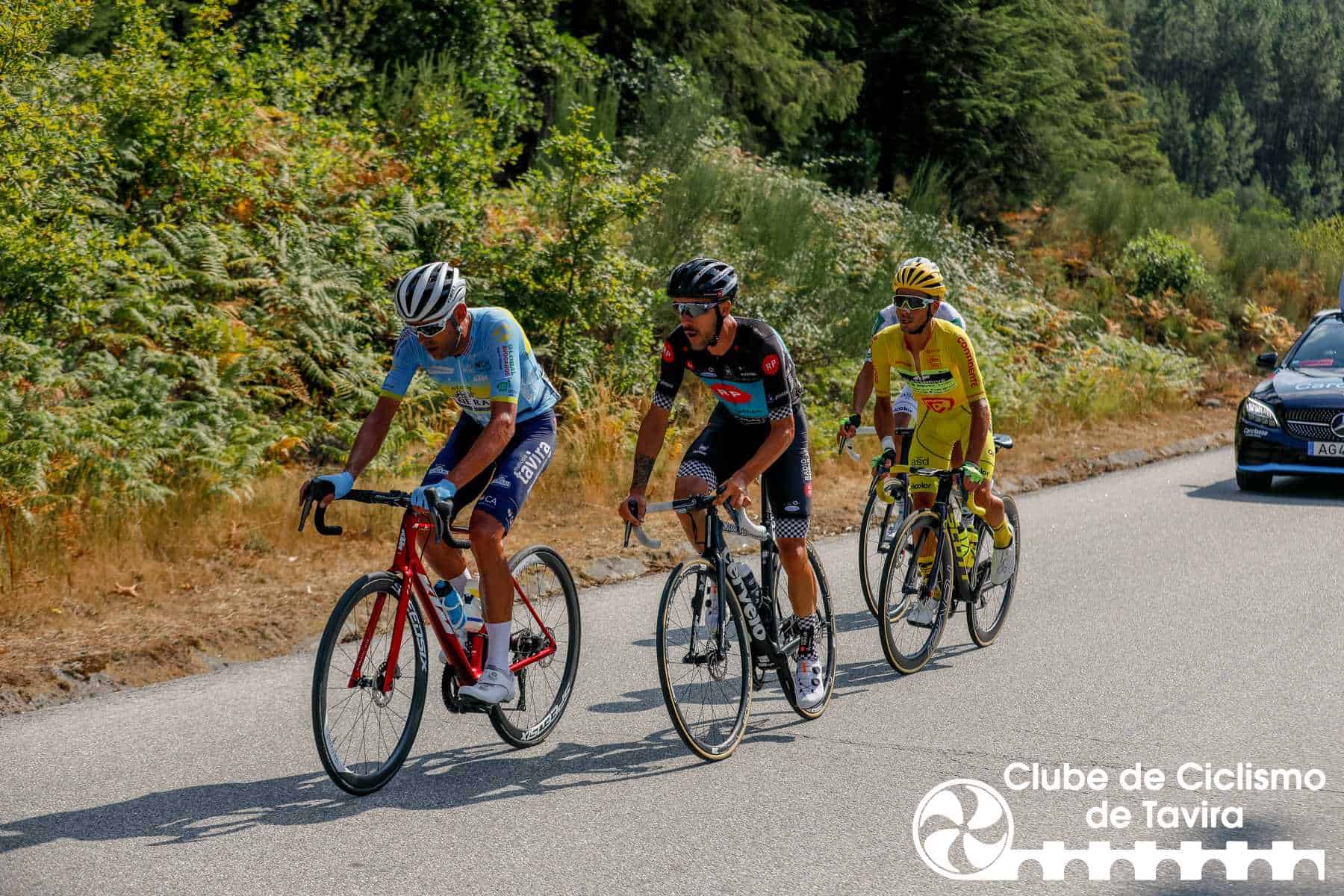 Photo © João Fonseca Photographer Photo © João Fonseca Photographer