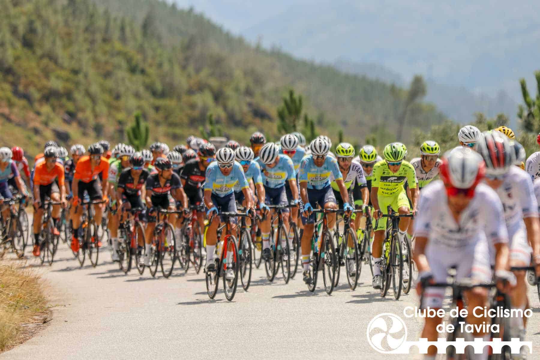 Photo © João Fonseca Photographer Photo © João Fonseca Photographer