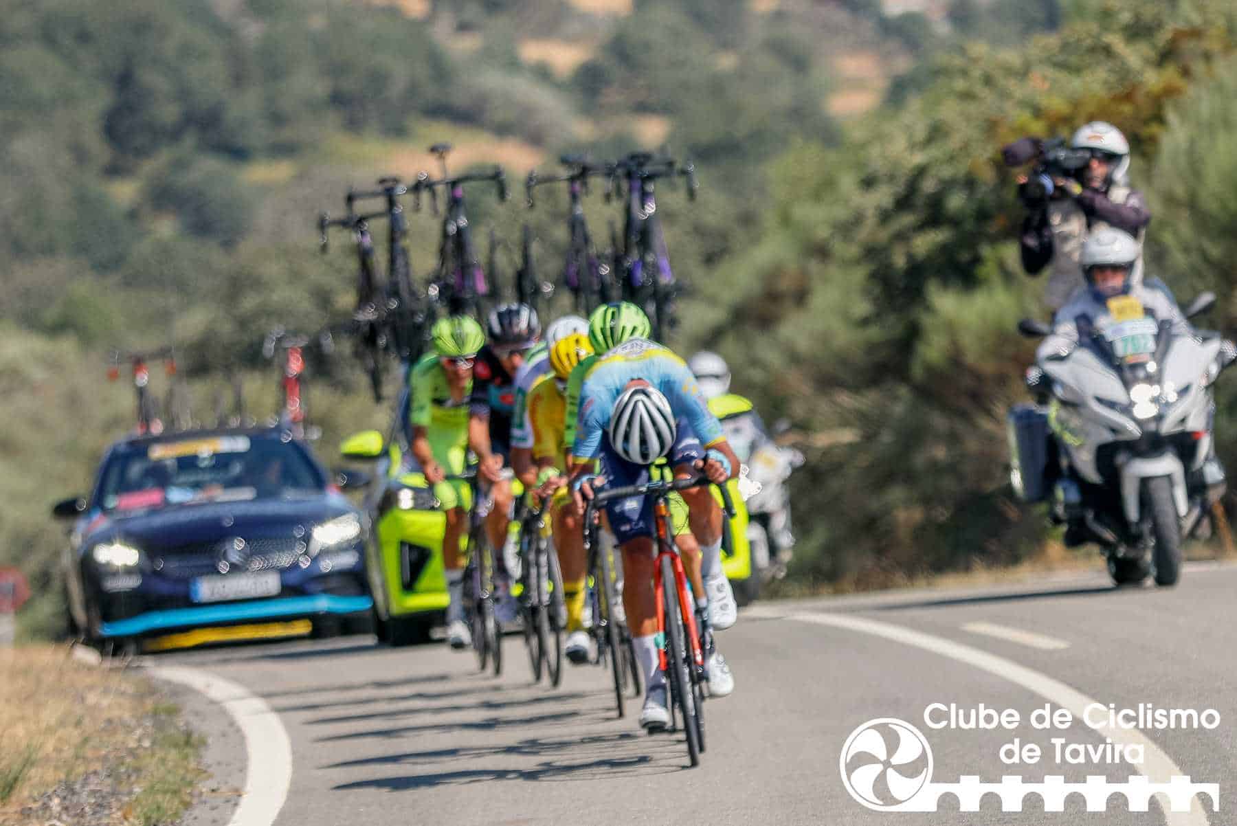 Photo © João Fonseca Photographer Photo © João Fonseca Photographer