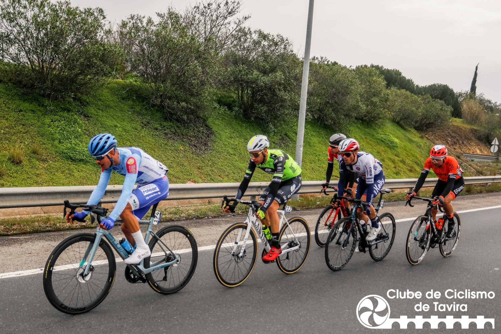 Photo © João Fonseca Photographer Photo © João Fonseca Photographer