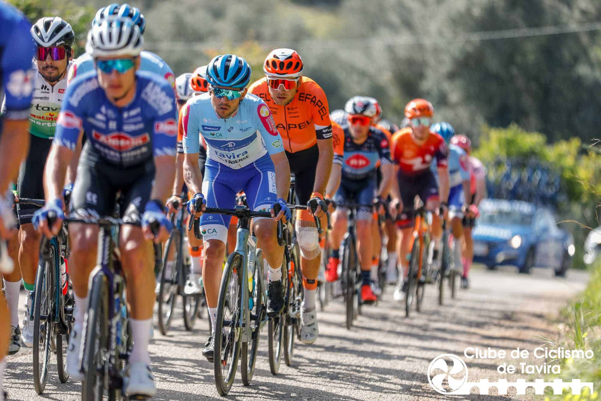 Photo © João Fonseca Photographer Photo © João Fonseca Photographer