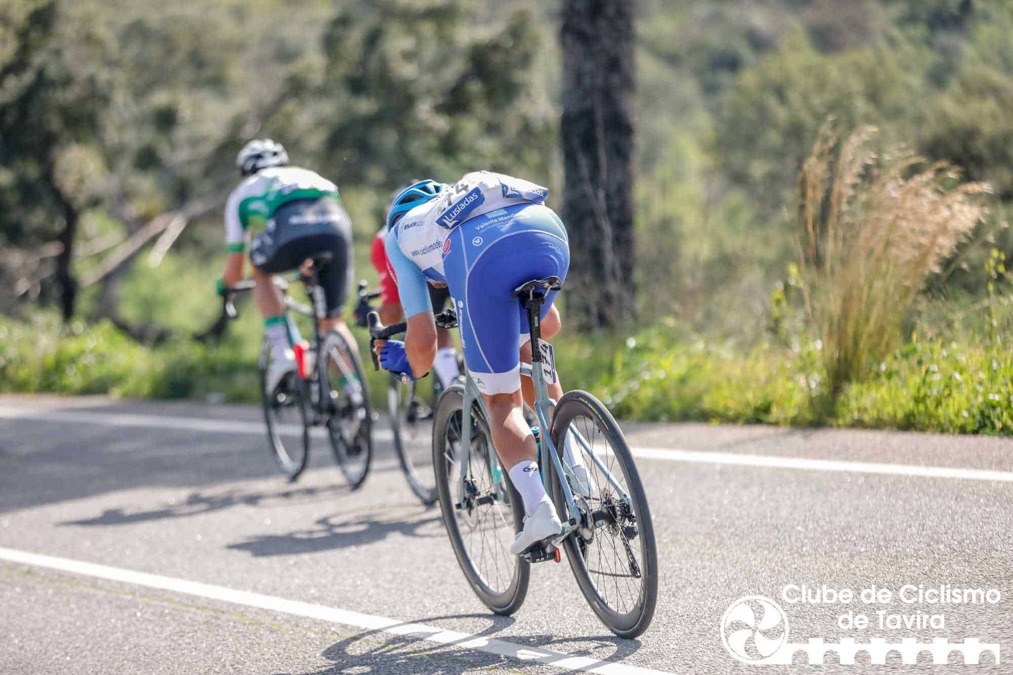 Photo © João Fonseca Photographer Photo © João Fonseca Photographer