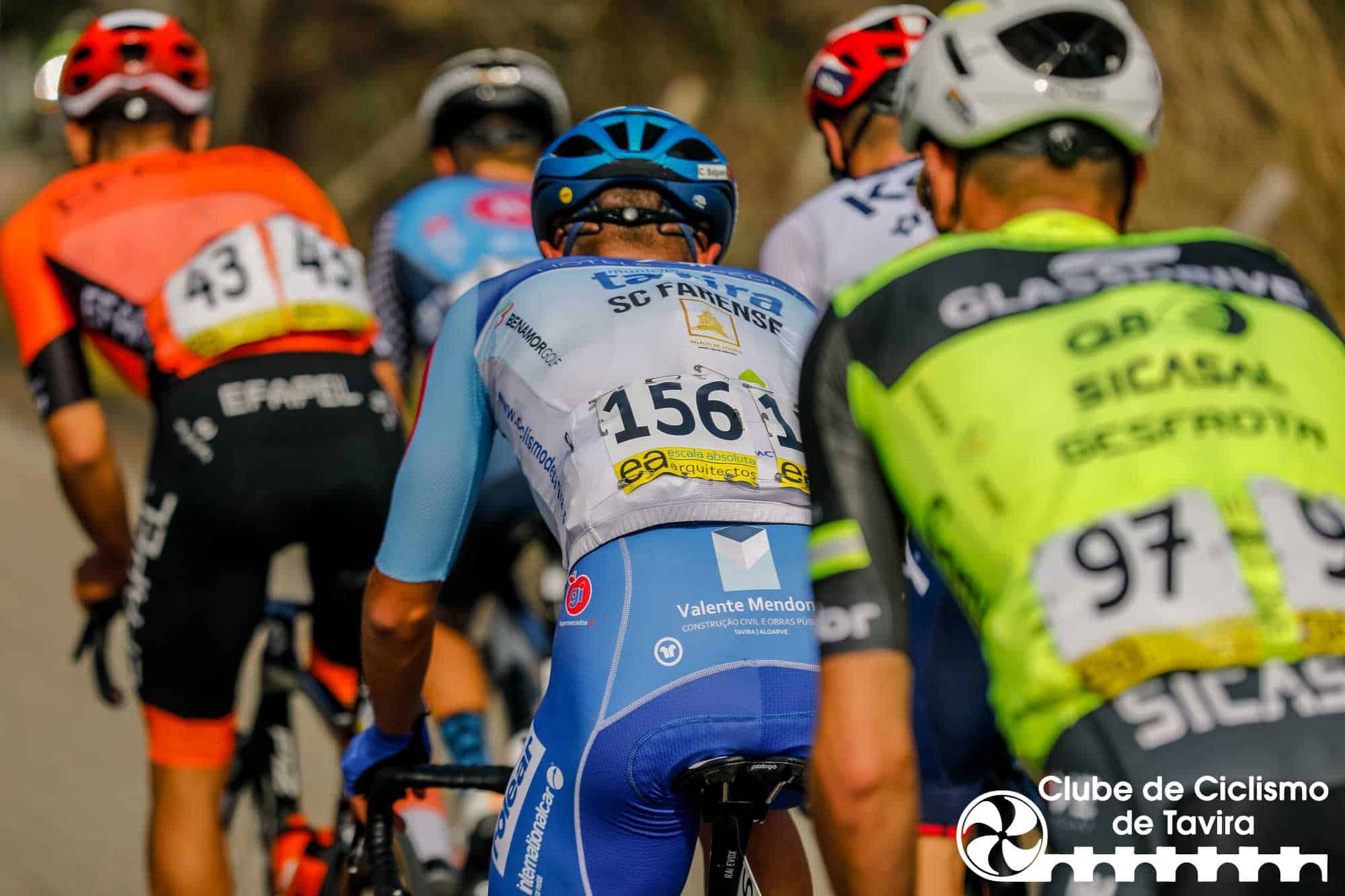 Photo © João Fonseca Photographer Photo © João Fonseca Photographer