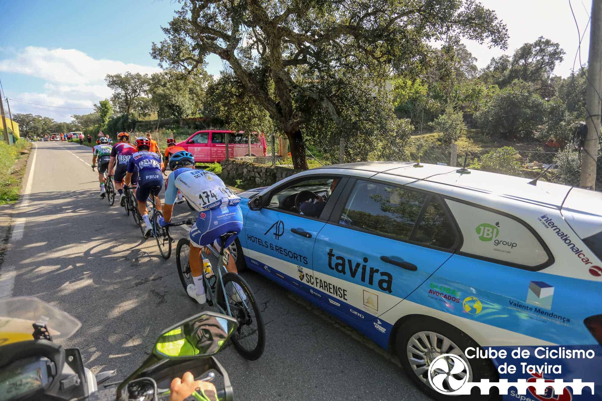 Photo © João Fonseca Photographer Photo © João Fonseca Photographer