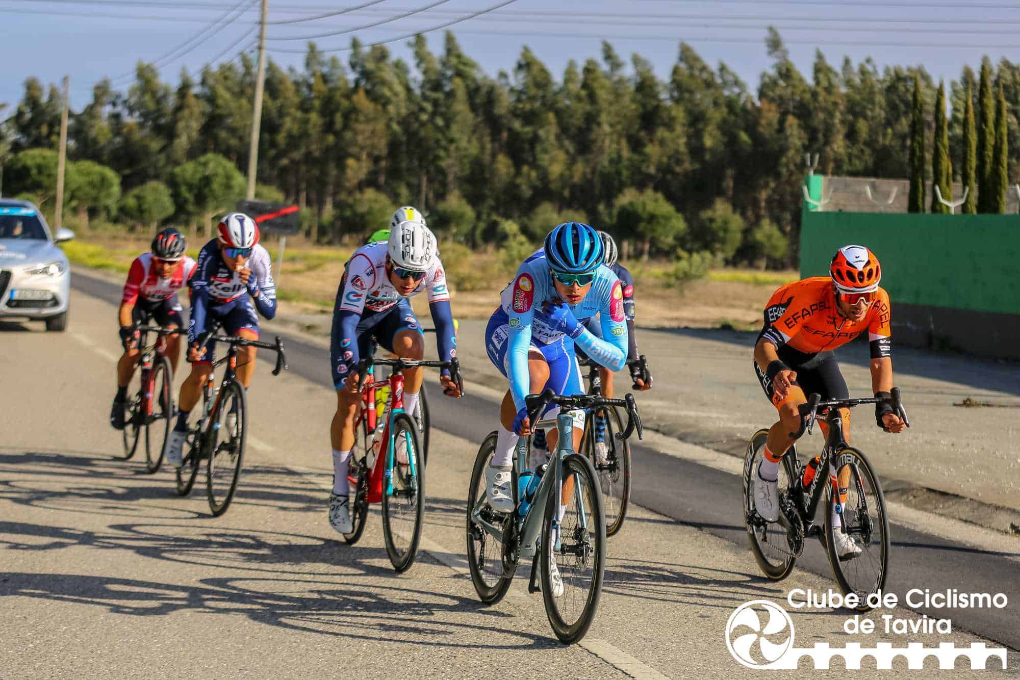 Photo © João Fonseca Photographer Photo © João Fonseca Photographer