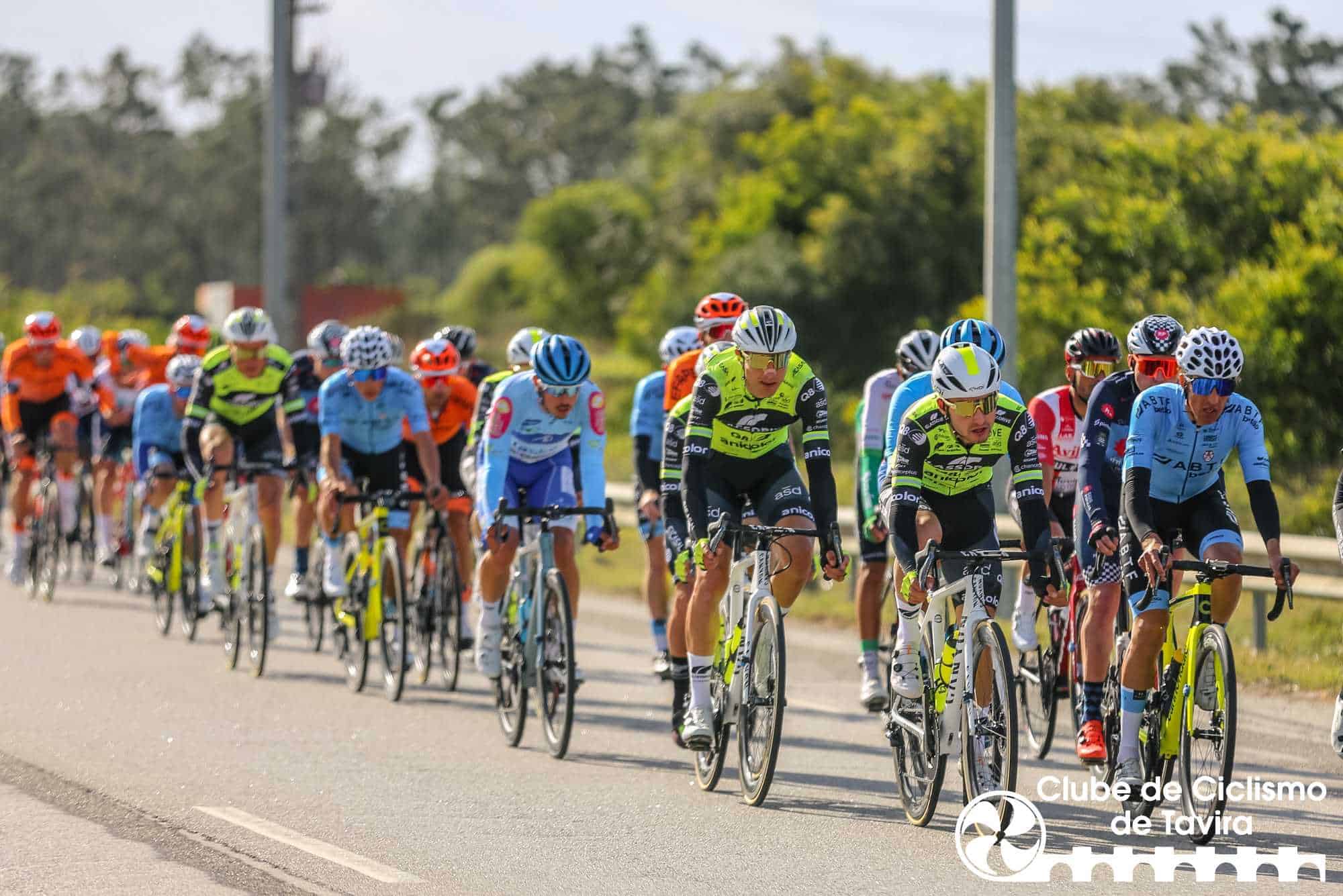 Photo © João Fonseca Photographer Photo © João Fonseca Photographer