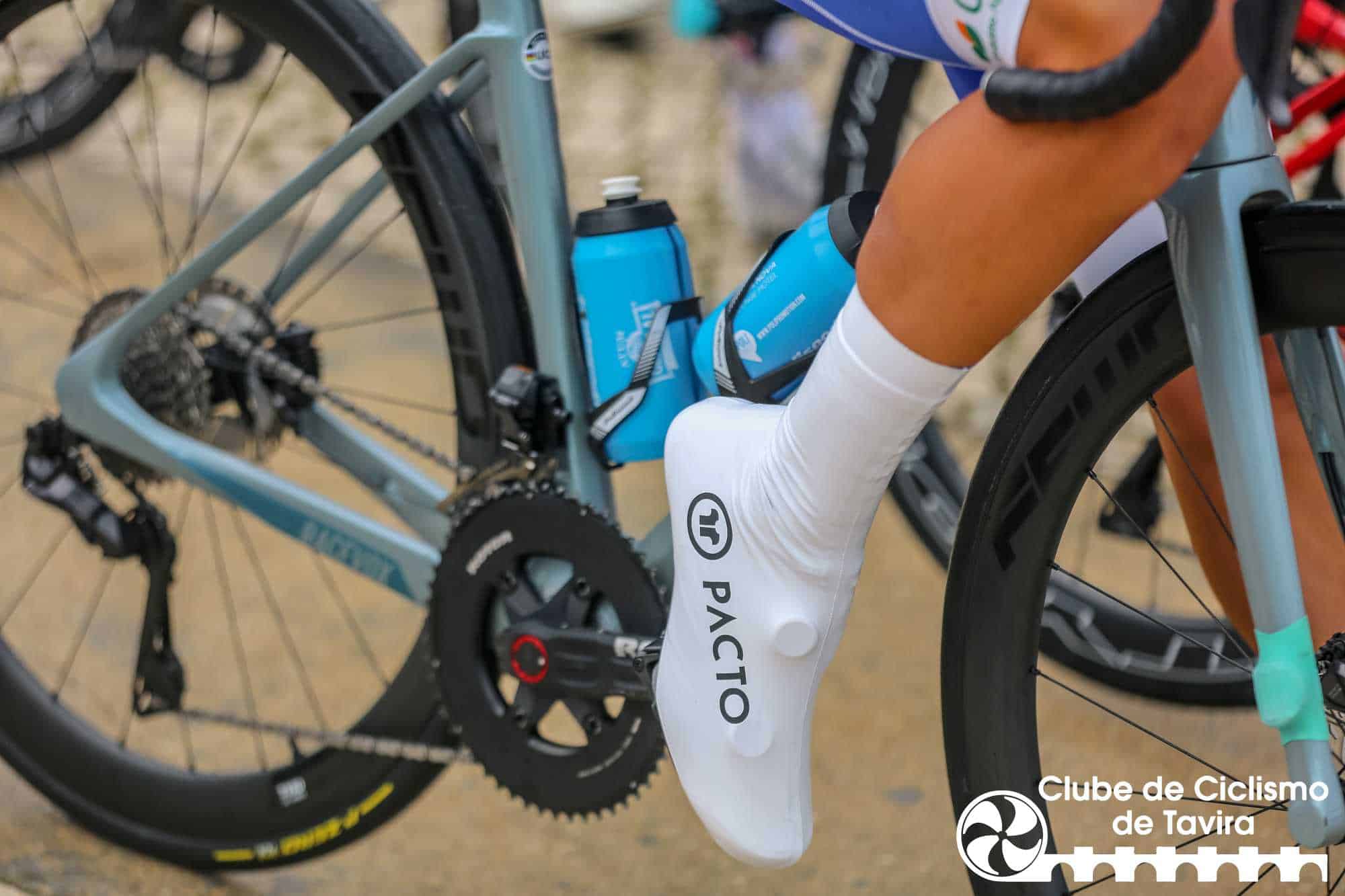 Photo © João Fonseca Photographer Photo © João Fonseca Photographer