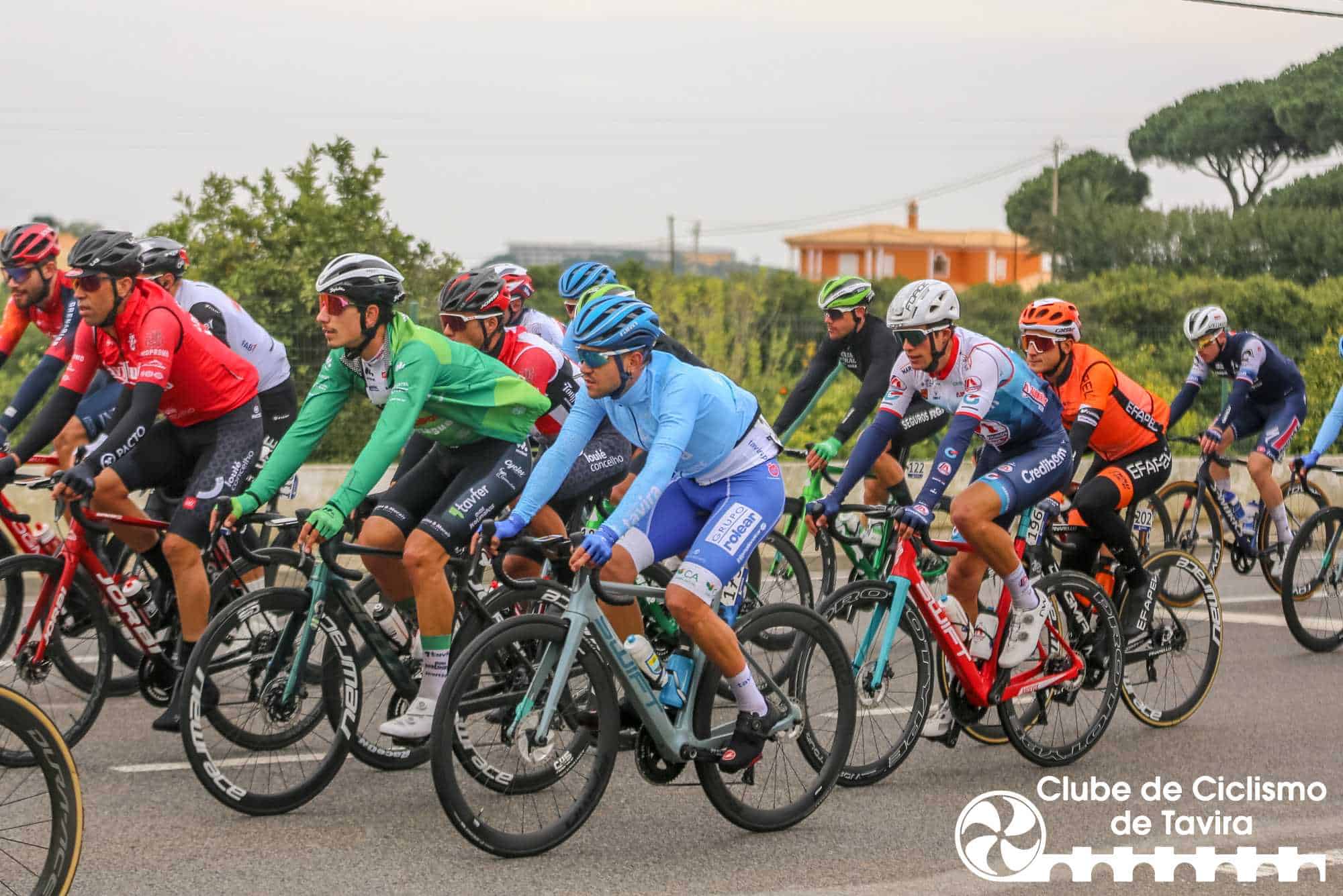 Photo © João Fonseca Photographer Photo © João Fonseca Photographer