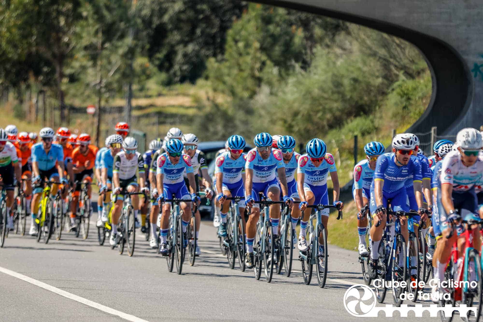 Photo © João Fonseca Photographer Photo © João Fonseca Photographer