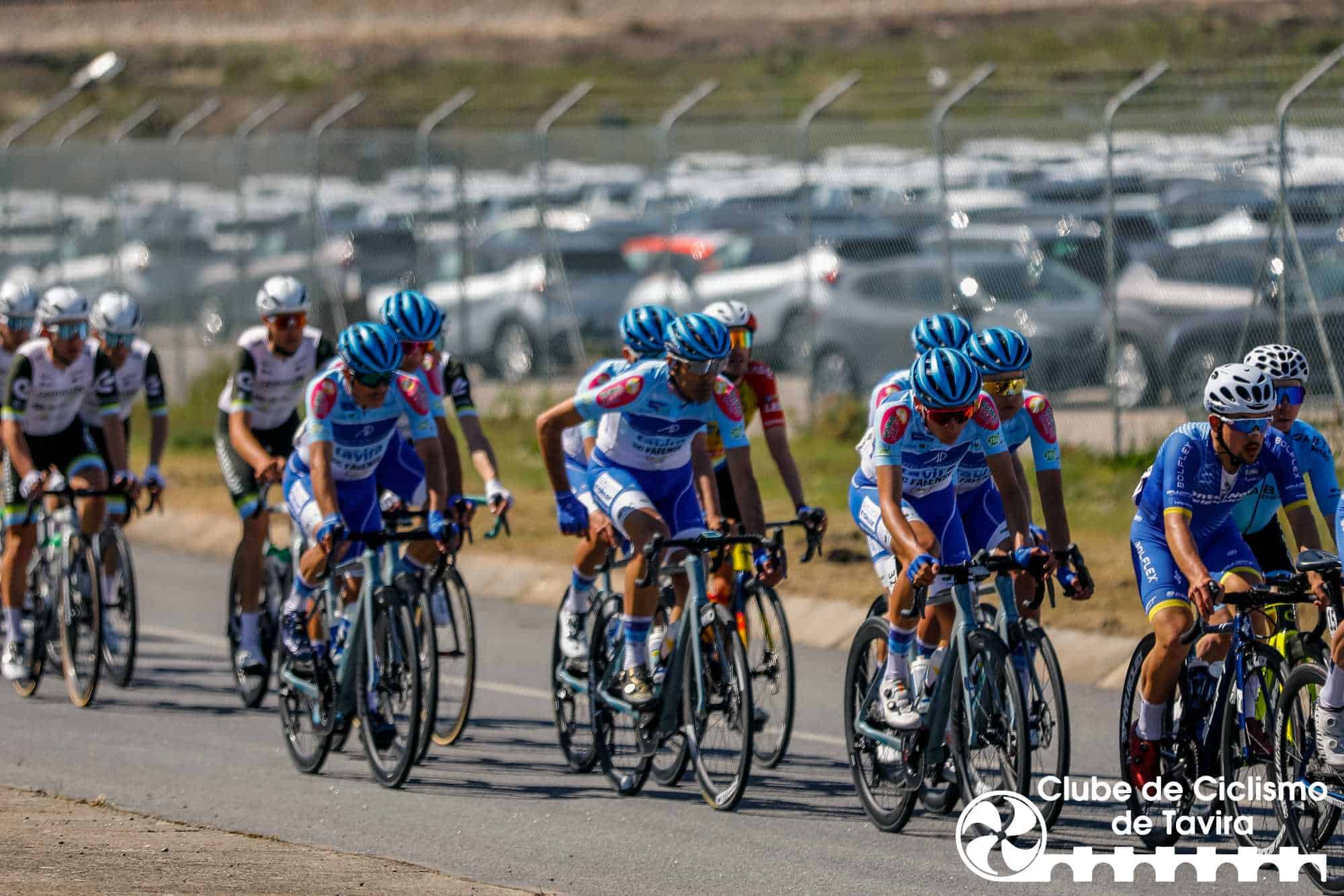 Photo © João Fonseca Photographer Photo © João Fonseca Photographer