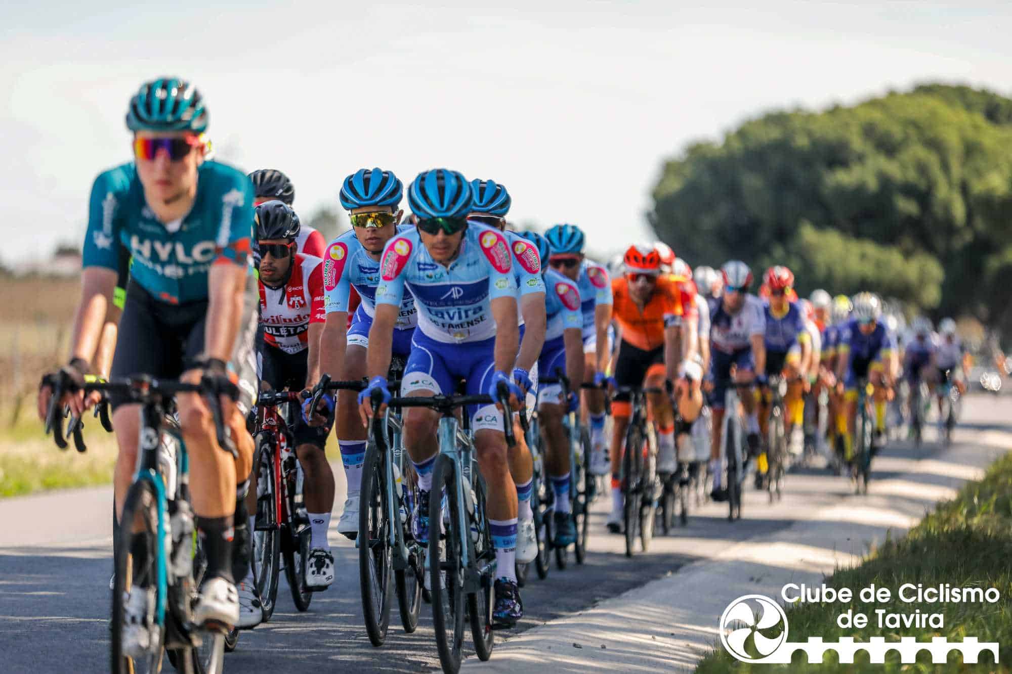 Photo © João Fonseca Photographer Photo © João Fonseca Photographer