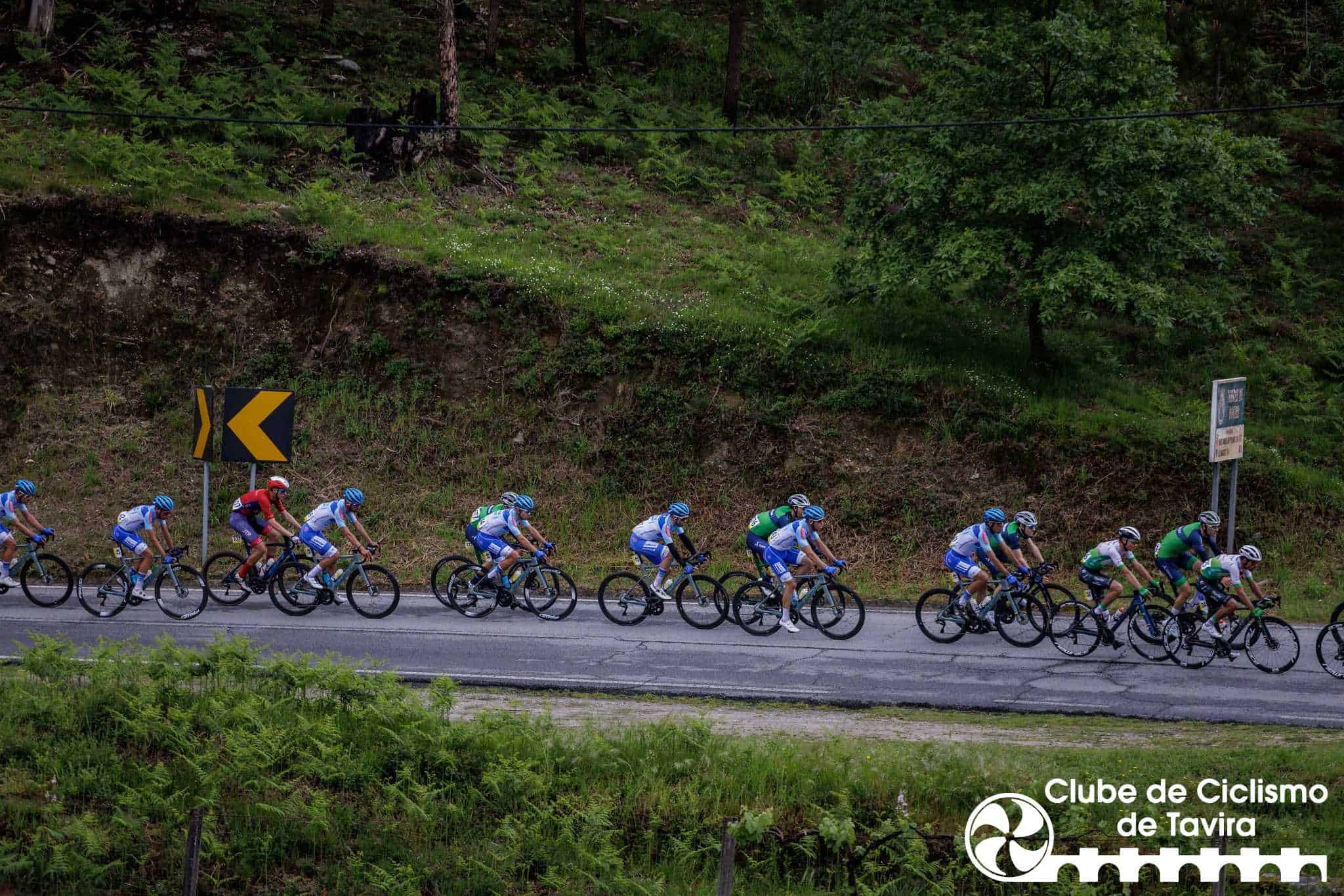 343601622_198674116267913_7409714016596531375_n Barcelos, 22/04/2023 - Decorreu hoje, a primeira etapa do Grande Prémo de ciclismo O Jogo.
(Miguel Pereira/Global Imagens)