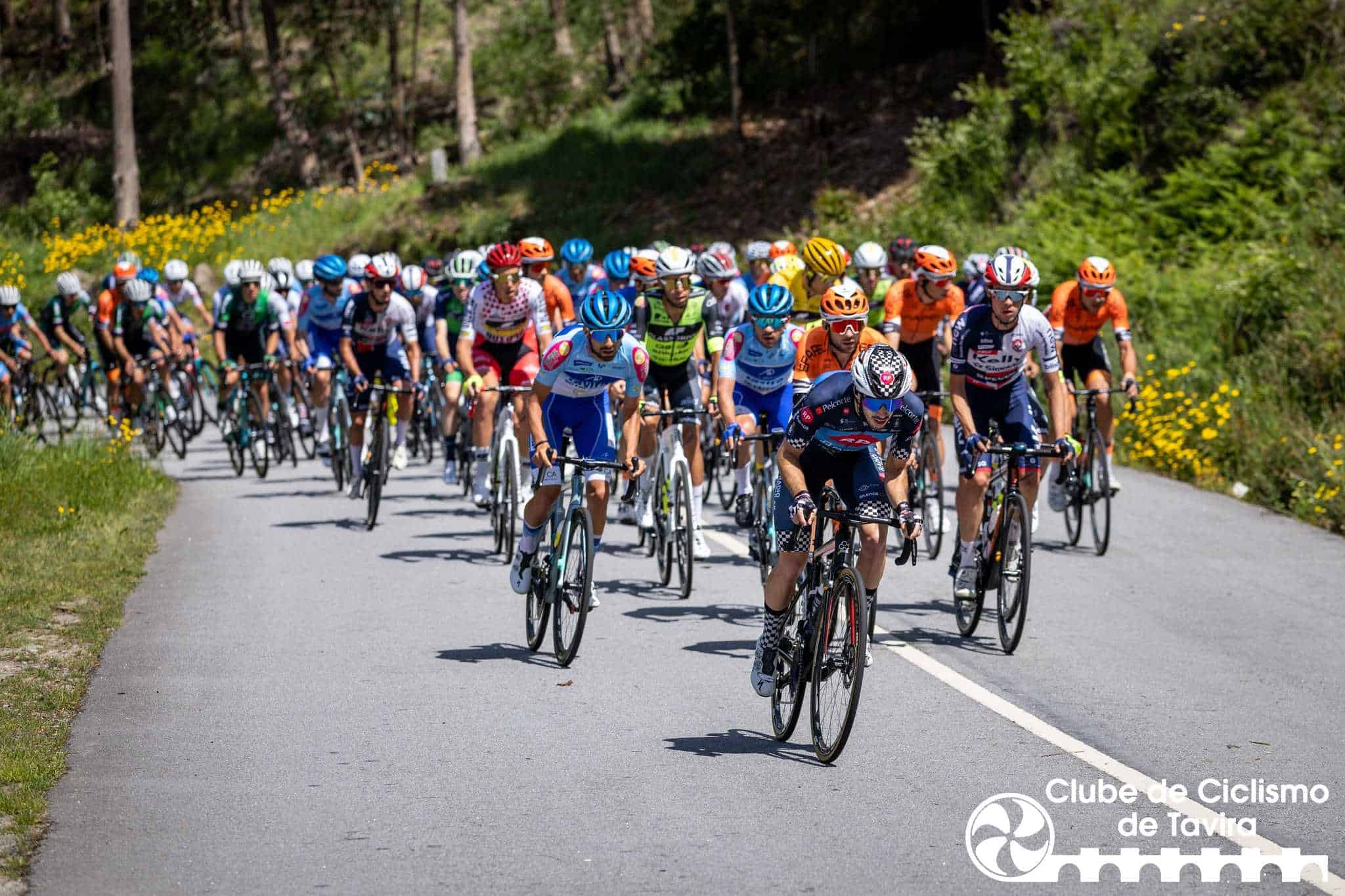 Paredes, 25/04/2023 - Decorreu hoje, em Paredes, a quinta e última etapa do Grande Prémo de ciclismo O Jogo.

(Miguel Pereira/Global Imagens)
