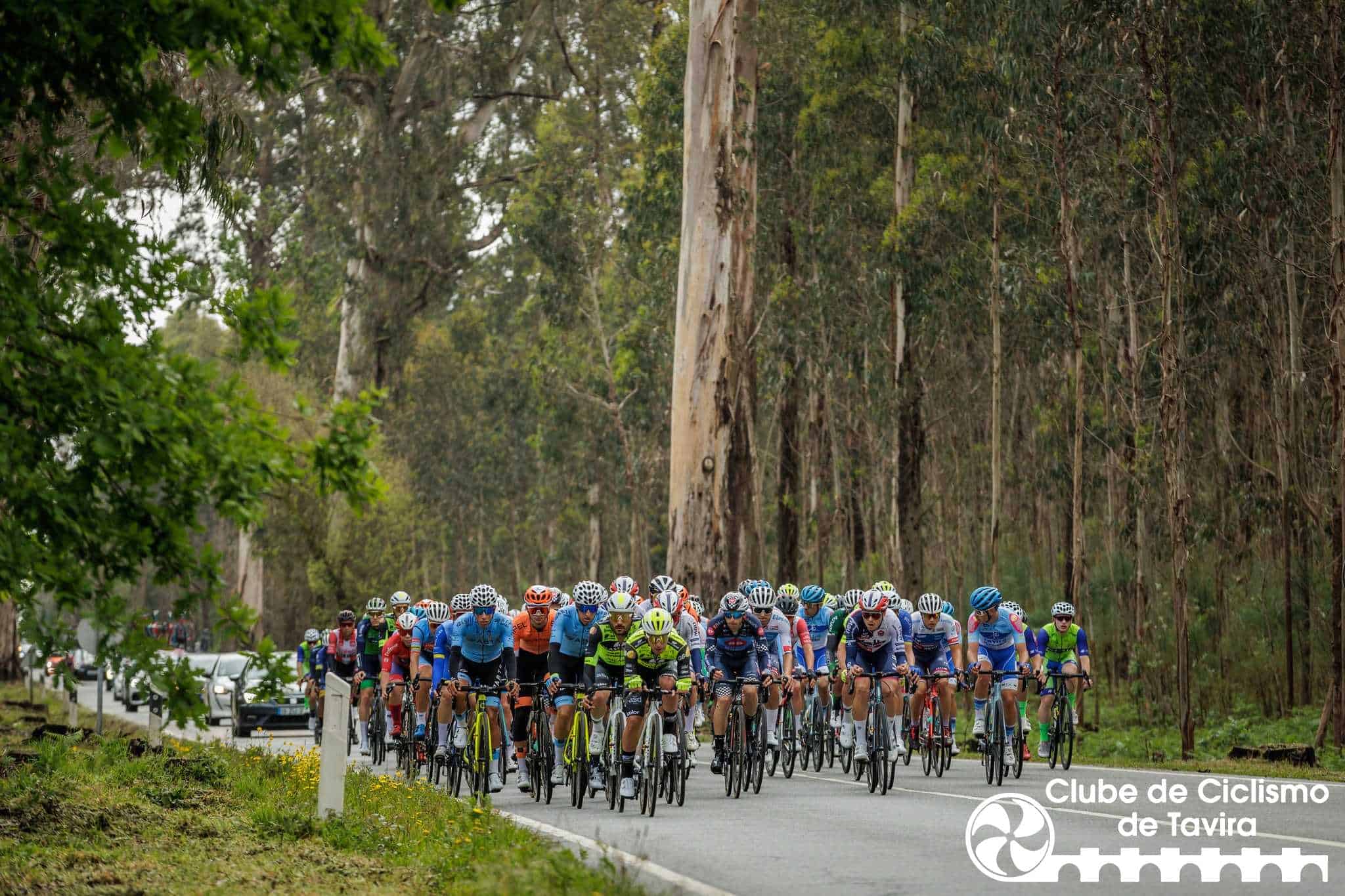 343777702_1380091745872224_1755375251013932962_n Barcelos, 22/04/2023 - Decorreu hoje, a primeira etapa do Grande Prémo de ciclismo O Jogo.
(Miguel Pereira/Global Imagens)