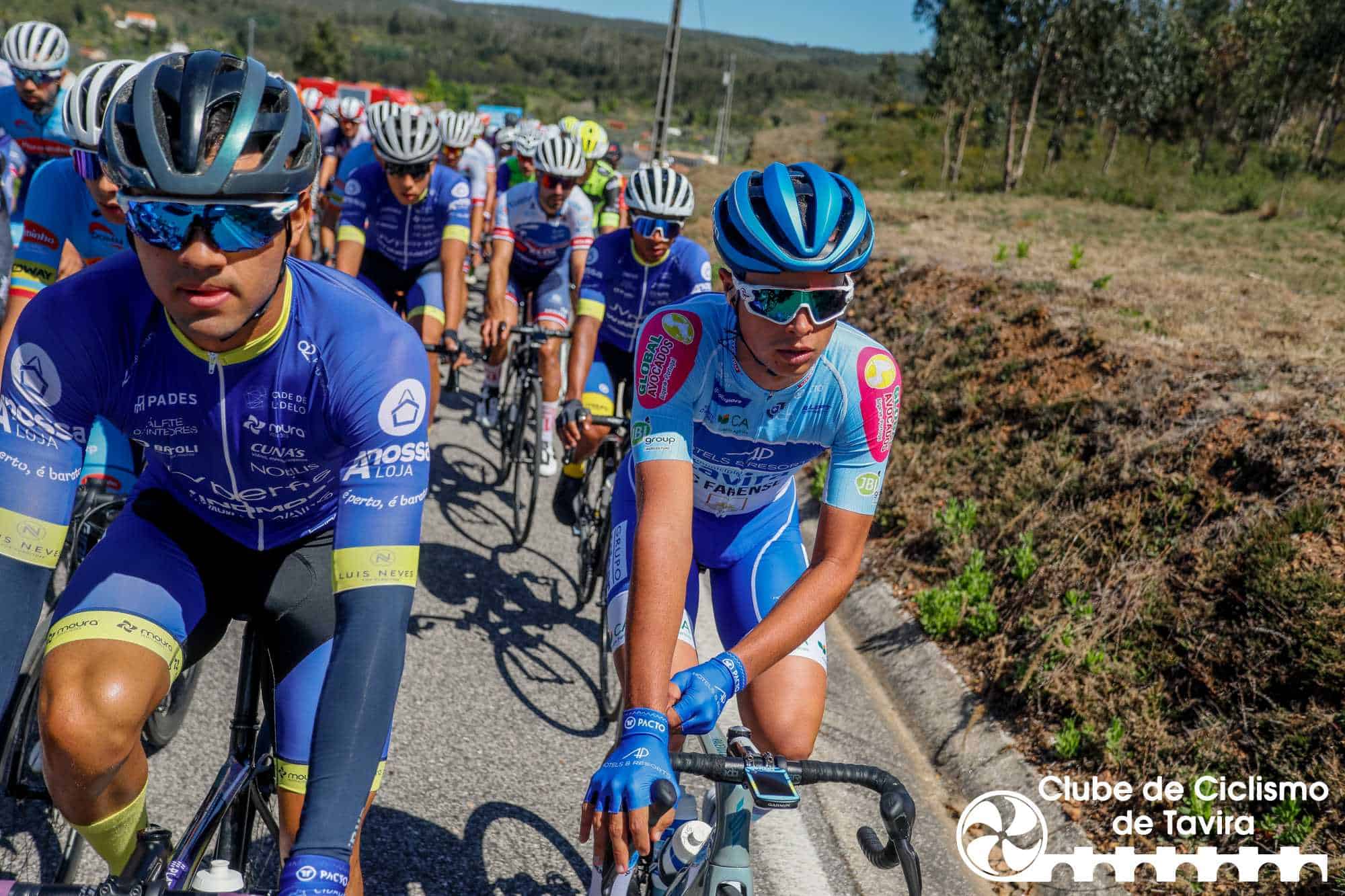 Photo © João Fonseca Photographer Photo © João Fonseca Photographer