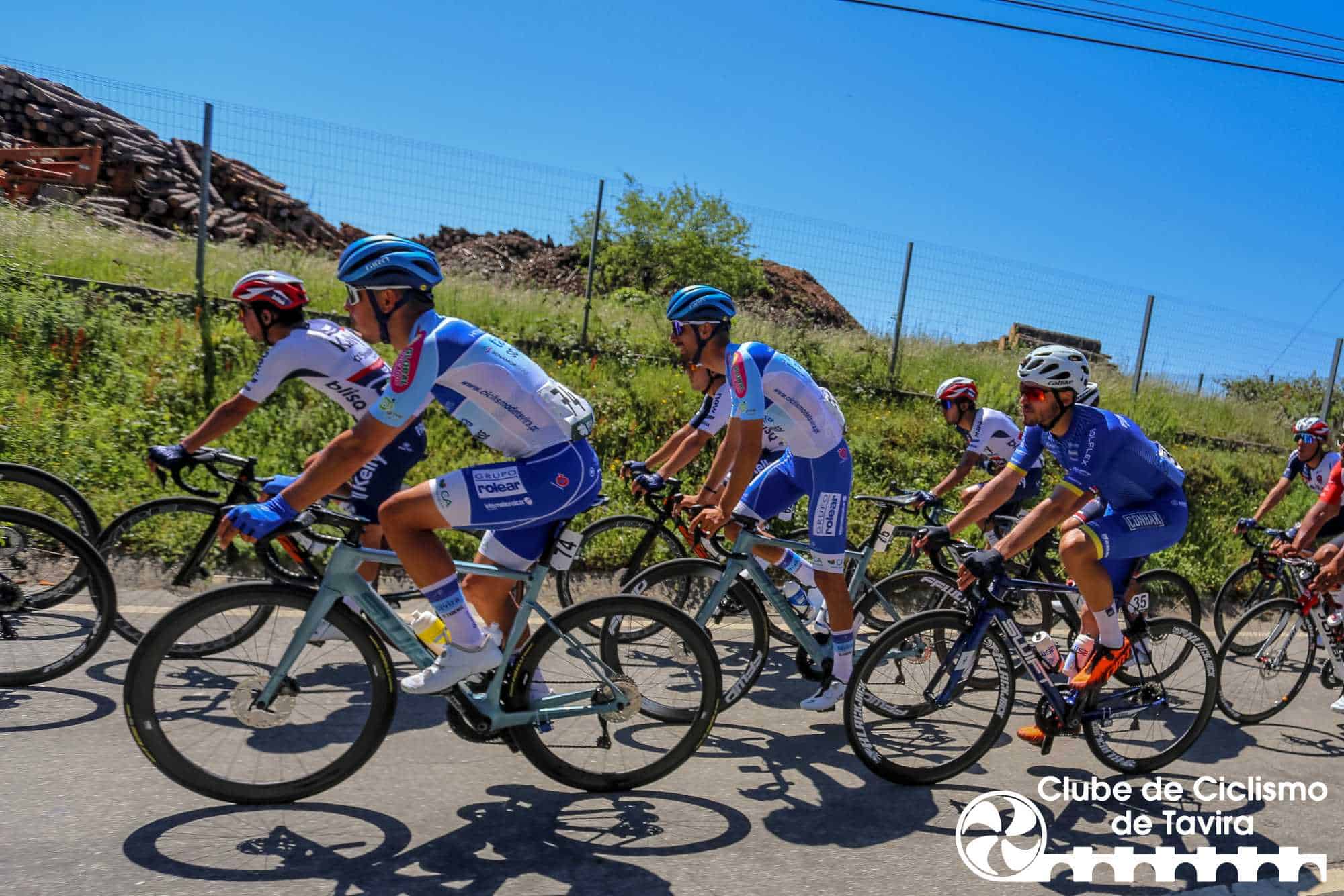 Photo © João Fonseca Photographer Photo © João Fonseca Photographer