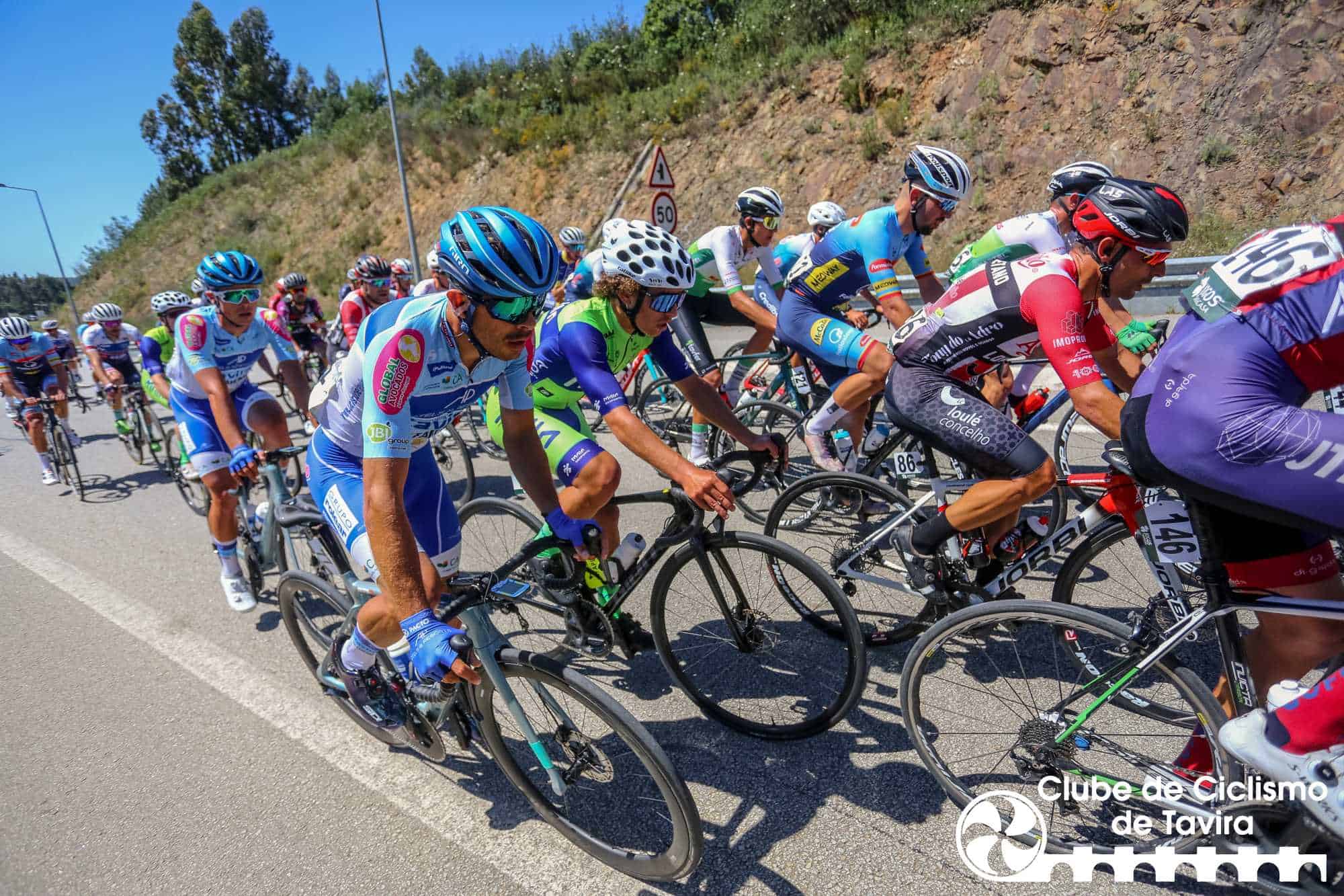 Photo © João Fonseca Photographer Photo © João Fonseca Photographer