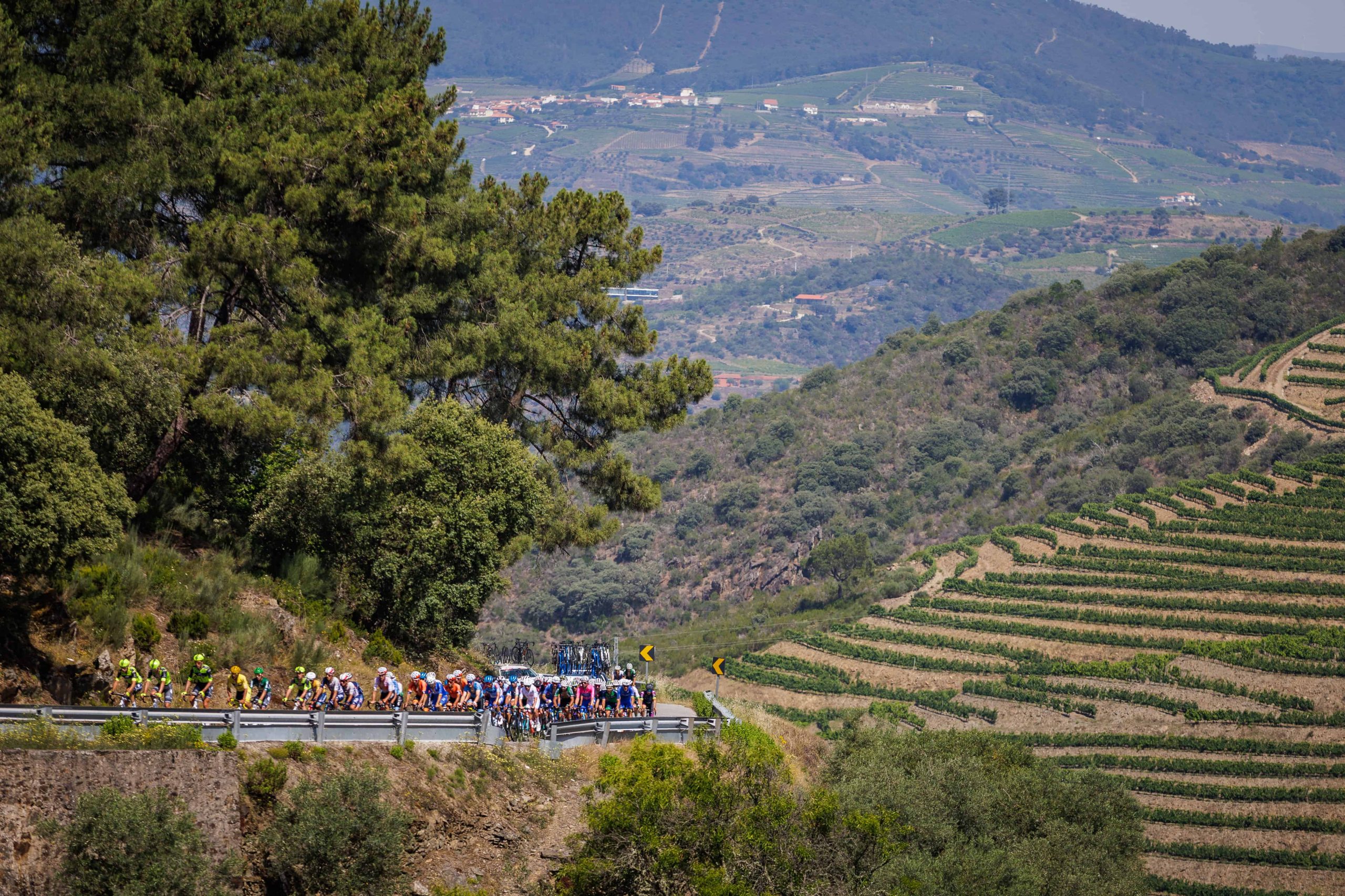 3 Grande Prémio do Douro: 3a etapa Alijó, 16/06/2023 - Decorreu hoje a 3ª etapa do 3º Grande Prémio de Ciclismo do Douro Internacional que percorreu estradas entre Pinhão e Alijó.
(Miguel Pereira/Global Imagens)