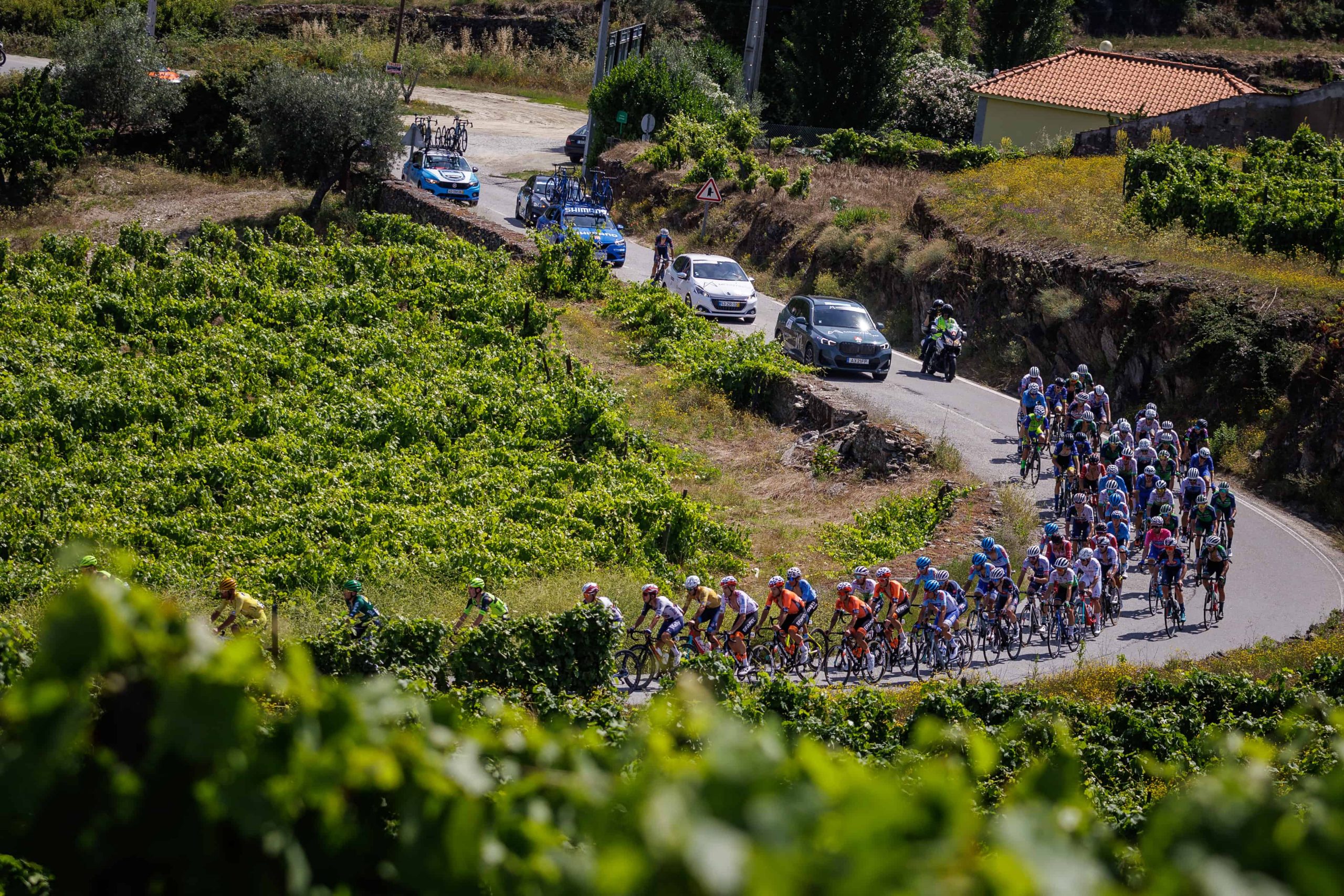 3 Grande Prémio do Douro: 3a etapa Alijó, 16/06/2023 - Decorreu hoje a 3ª etapa do 3º Grande Prémio de Ciclismo do Douro Internacional que percorreu estradas entre Pinhão e Alijó.
(Miguel Pereira/Global Imagens)