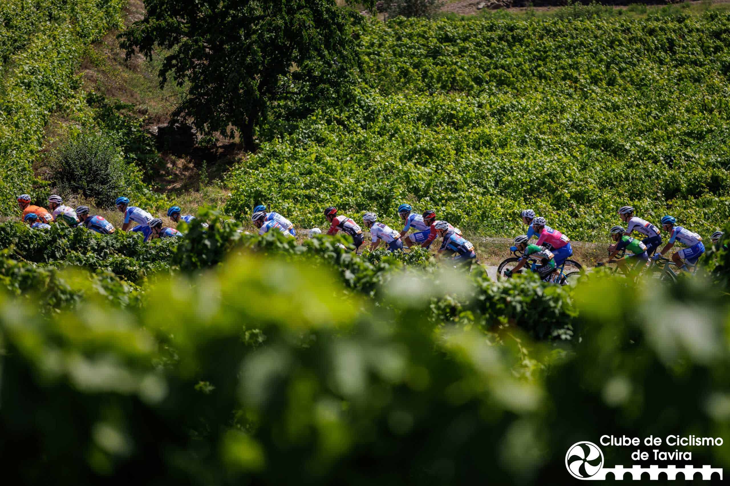 3 Grande Prémio do Douro: 3a etapa Alijó, 16/06/2023 - Decorreu hoje a 3ª etapa do 3º Grande Prémio de Ciclismo do Douro Internacional que percorreu estradas entre Pinhão e Alijó.
(Miguel Pereira/Global Imagens)