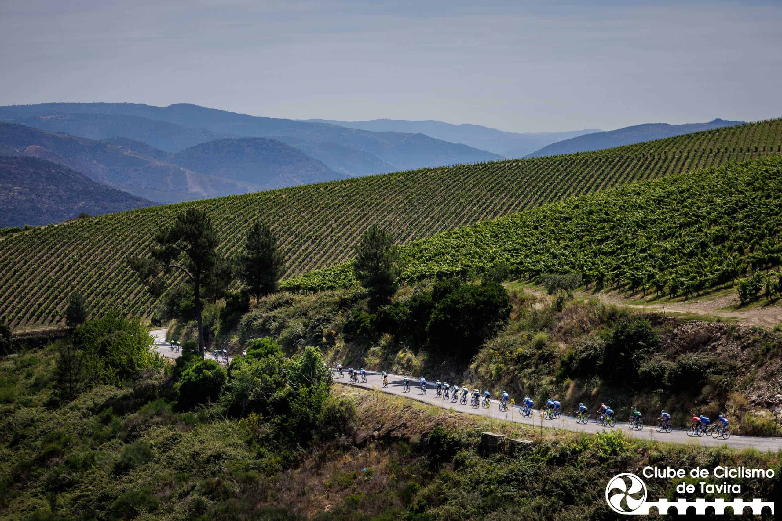 3 Grande Prémio do Douro: 3a etapa Alijó, 16/06/2023 - Decorreu hoje a 3ª etapa do 3º Grande Prémio de Ciclismo do Douro Internacional que percorreu estradas entre Pinhão e Alijó.
(Miguel Pereira/Global Imagens)