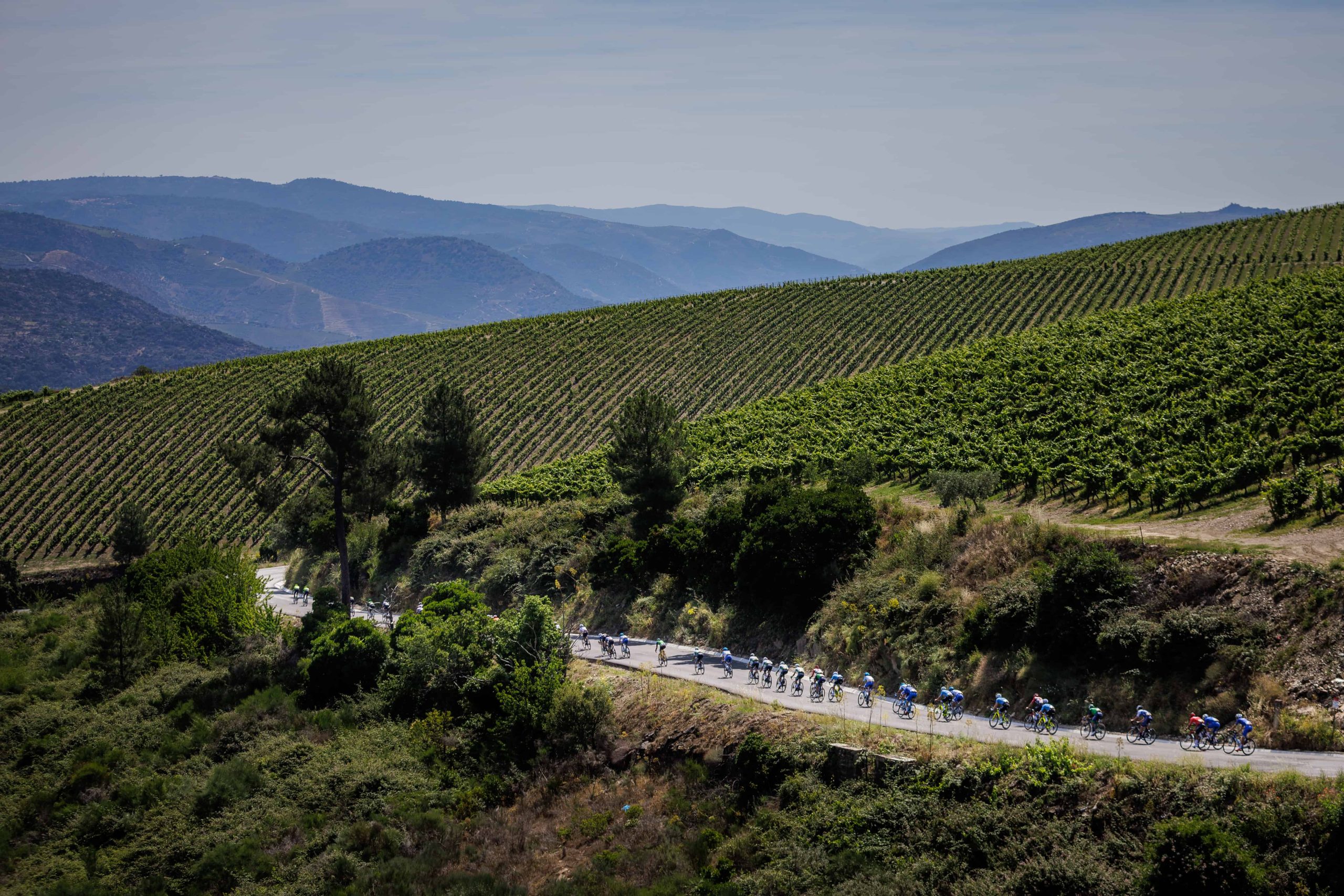 3 Grande Prémio do Douro: 3a etapa Alijó, 16/06/2023 - Decorreu hoje a 3ª etapa do 3º Grande Prémio de Ciclismo do Douro Internacional que percorreu estradas entre Pinhão e Alijó.
(Miguel Pereira/Global Imagens)