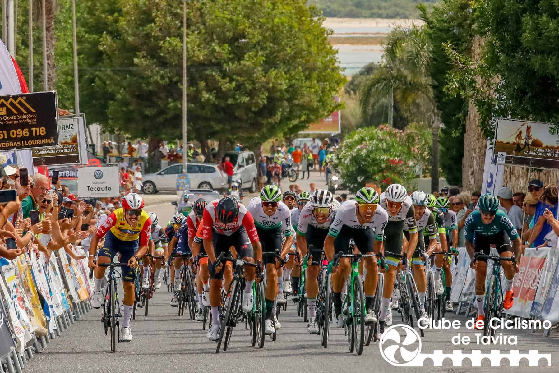 Photo © João Fonseca Photographer Photo © João Fonseca Photographer