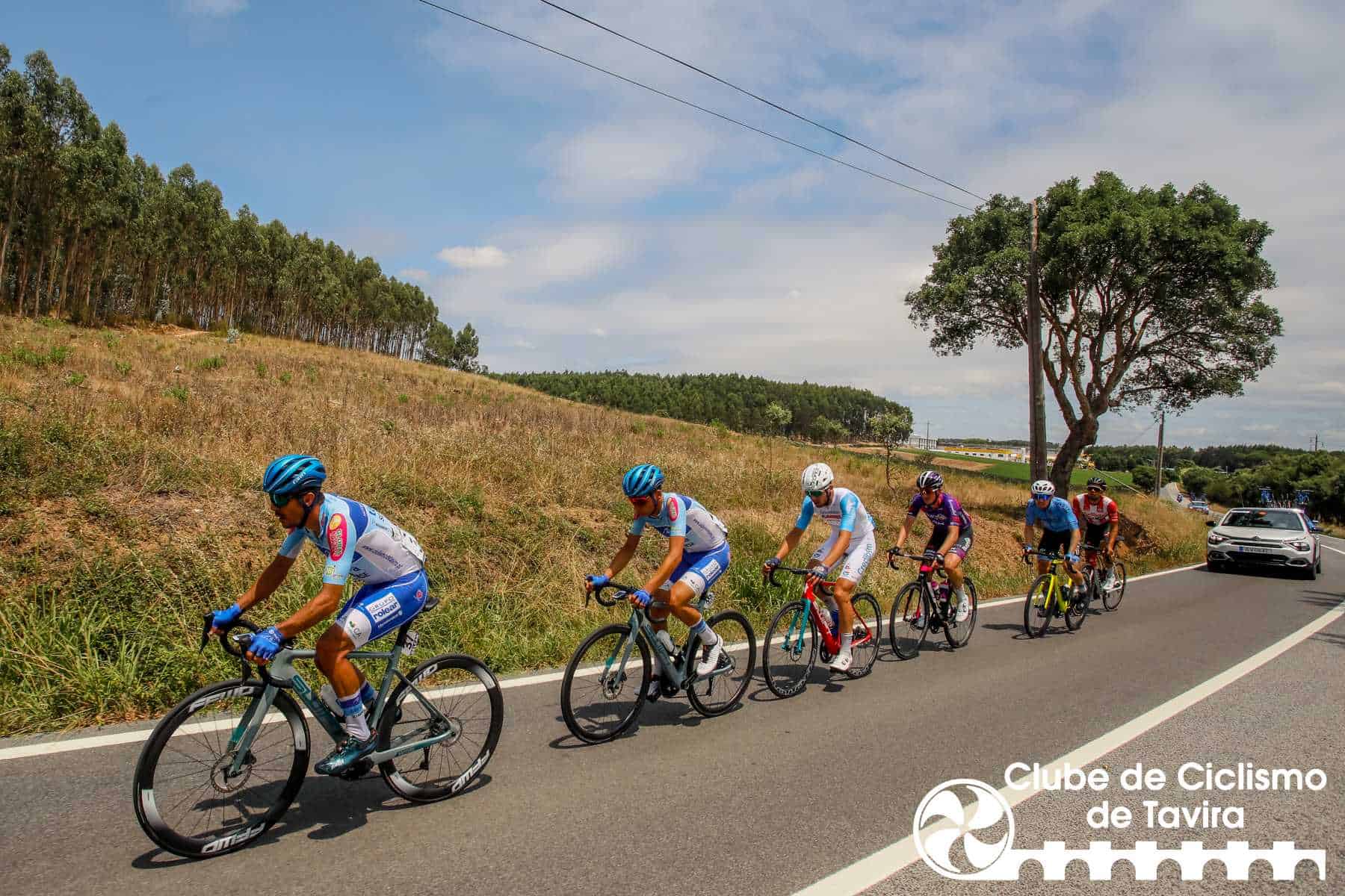 Photo © João Fonseca Photographer Photo © João Fonseca Photographer