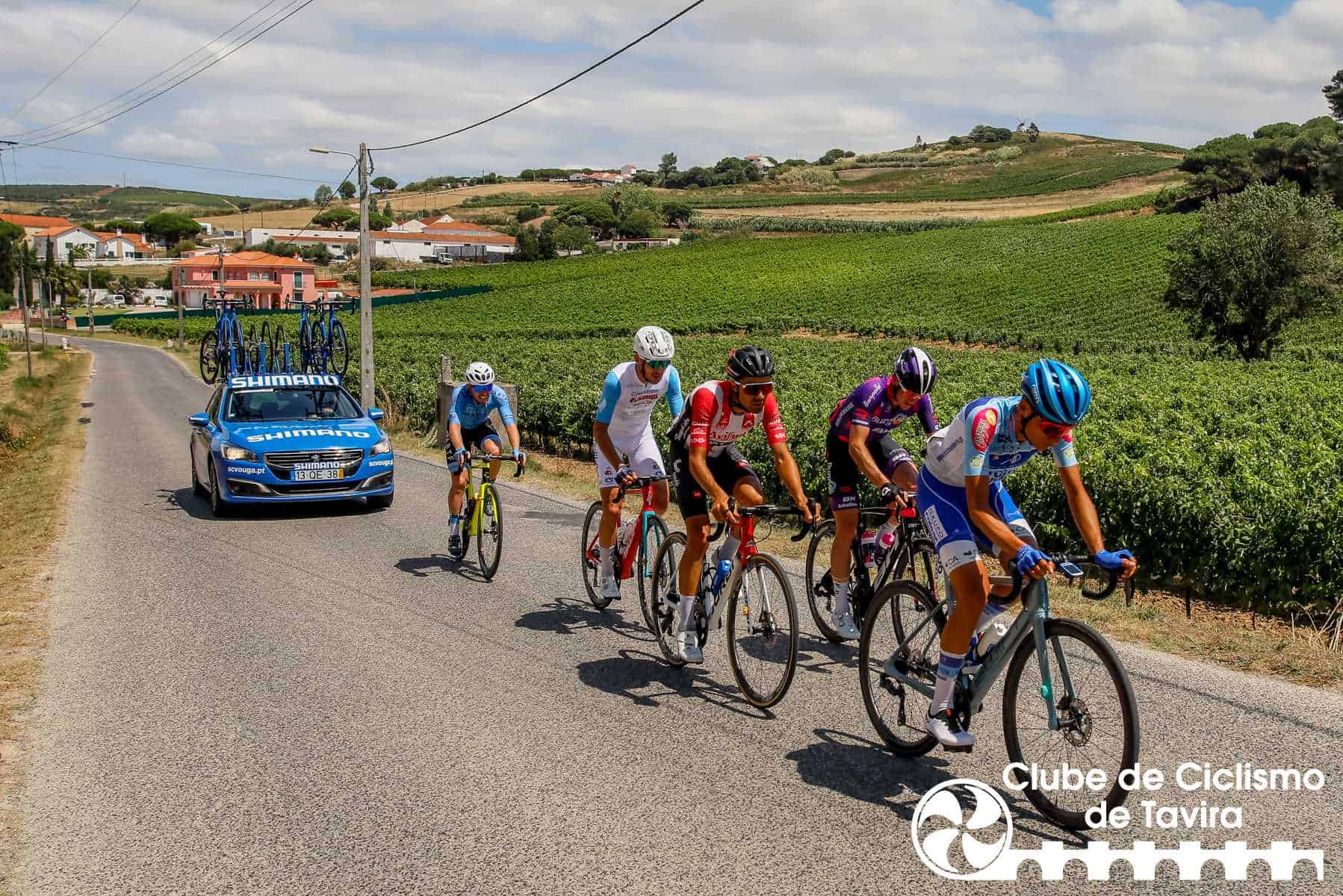 Photo © João Fonseca Photographer Photo © João Fonseca Photographer