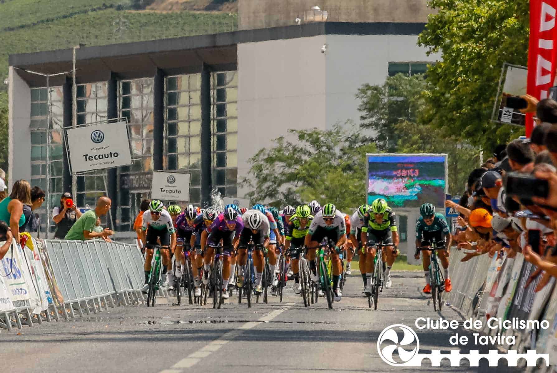 Photo © João Fonseca Photographer Photo © João Fonseca Photographer