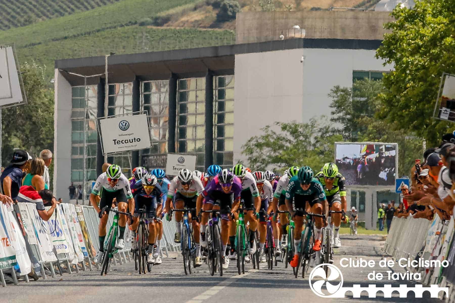 Photo © João Fonseca Photographer Photo © João Fonseca Photographer