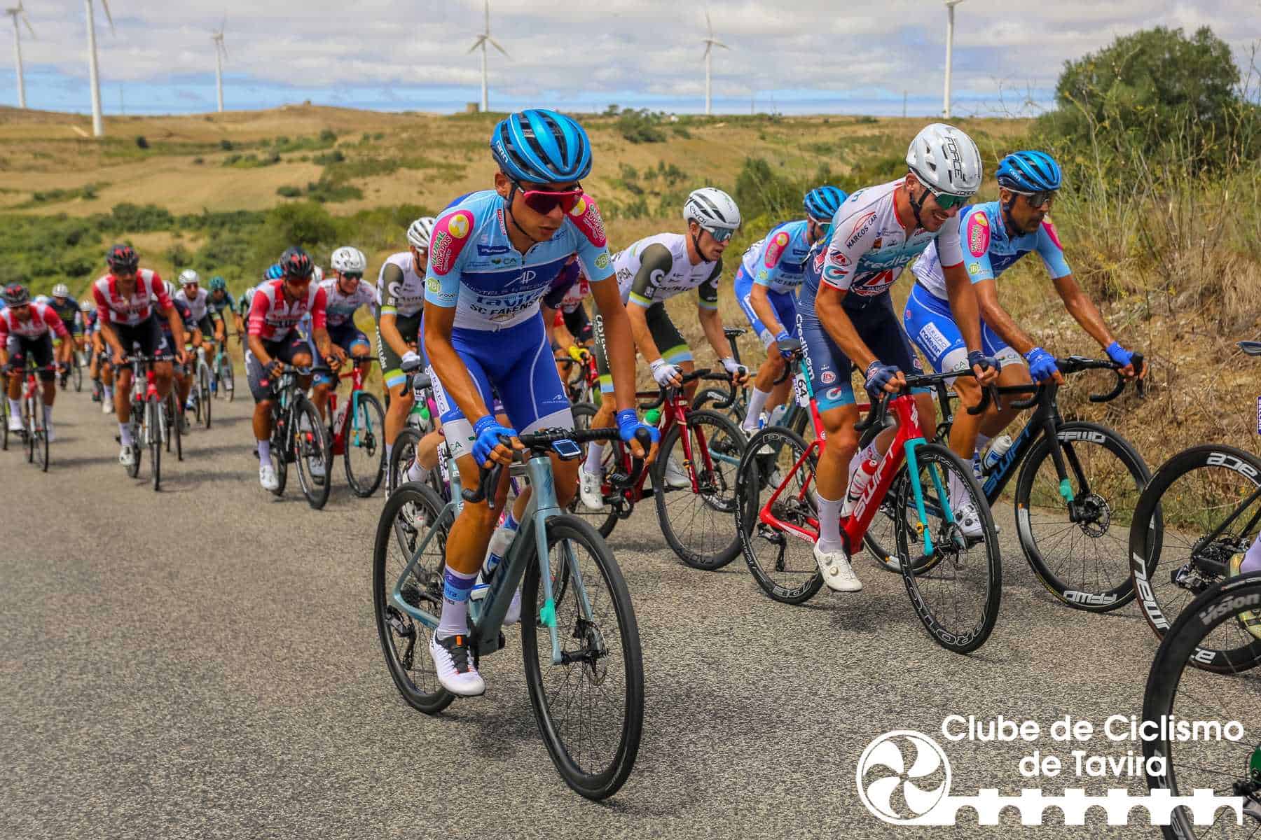 Photo © João Fonseca Photographer Photo © João Fonseca Photographer