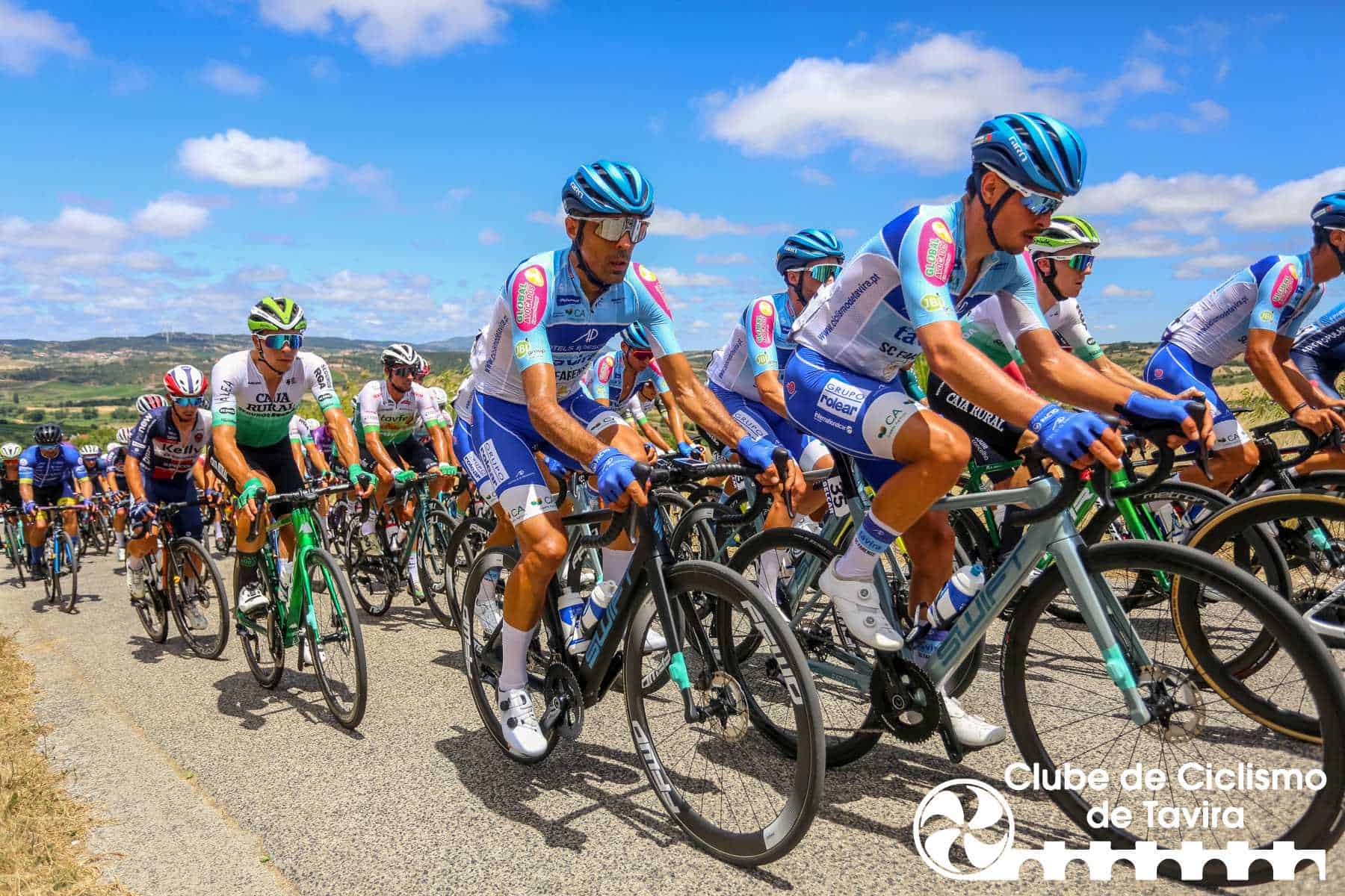 Photo © João Fonseca Photographer Photo © João Fonseca Photographer