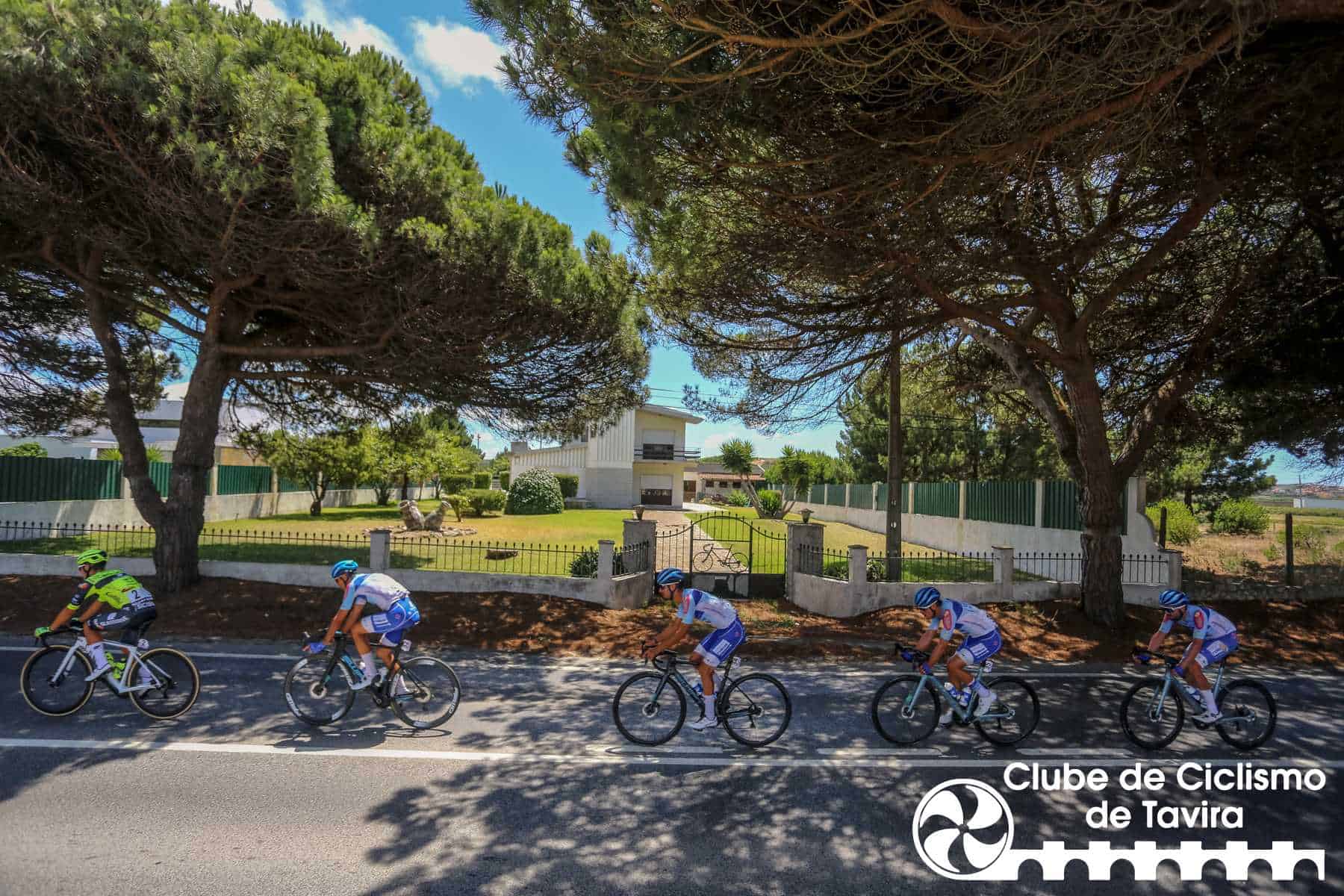 Photo © João Fonseca Photographer Photo © João Fonseca Photographer