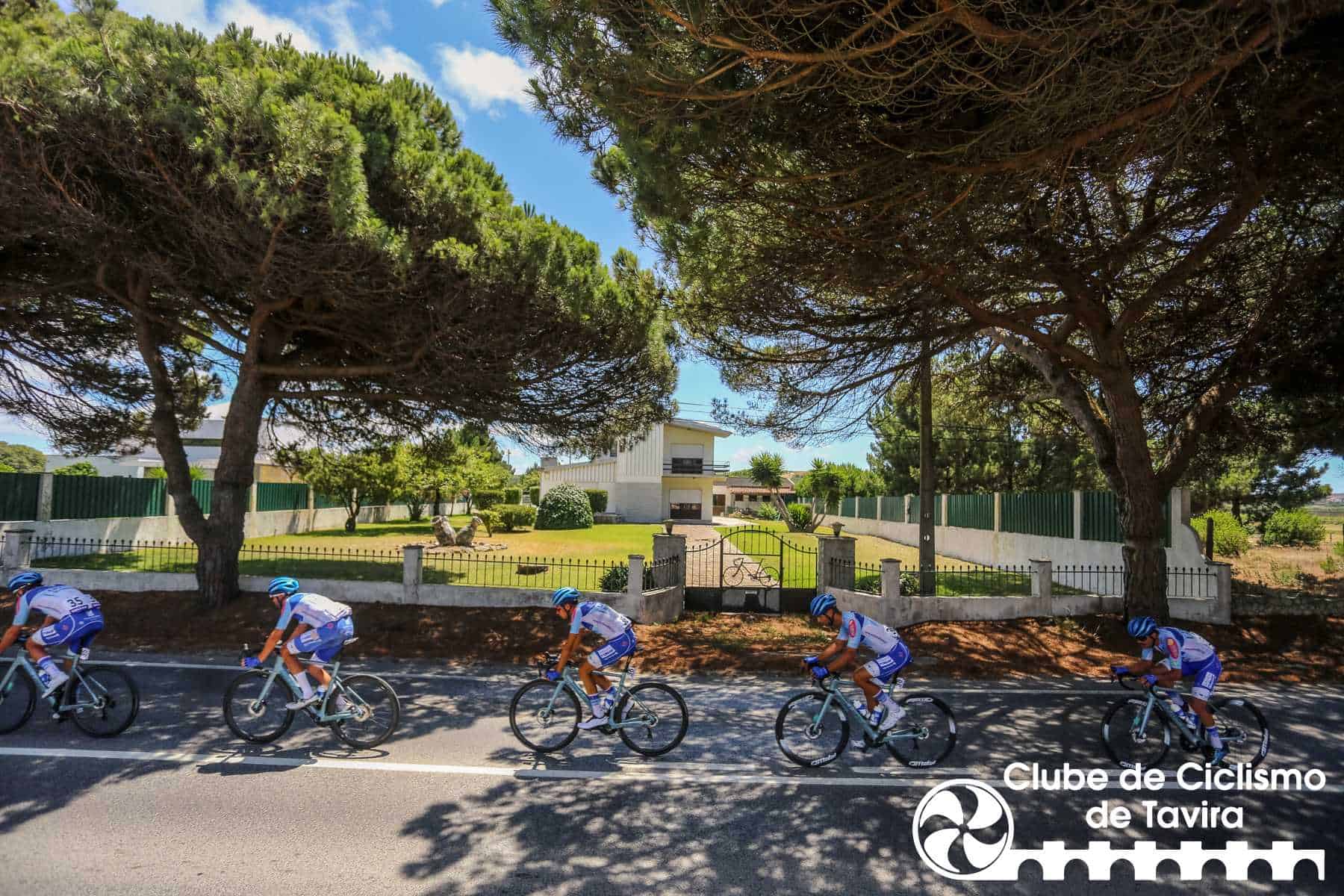 Photo © João Fonseca Photographer Photo © João Fonseca Photographer