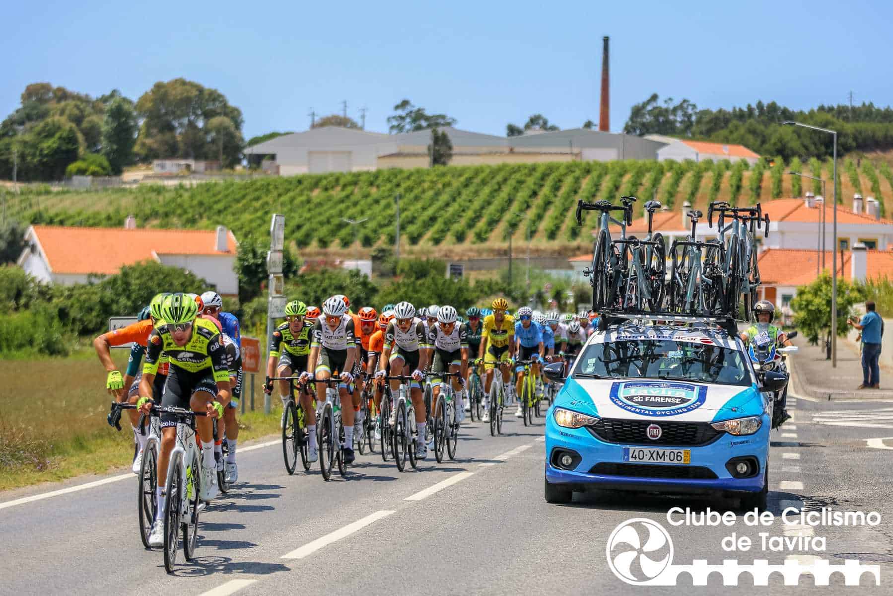 Photo © João Fonseca Photographer Photo © João Fonseca Photographer