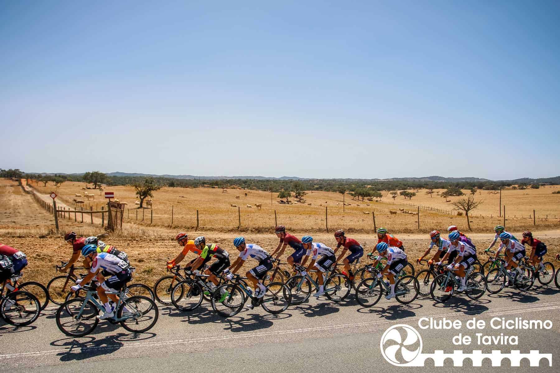 Photo © João Fonseca Photographer Photo © João Fonseca Photographer