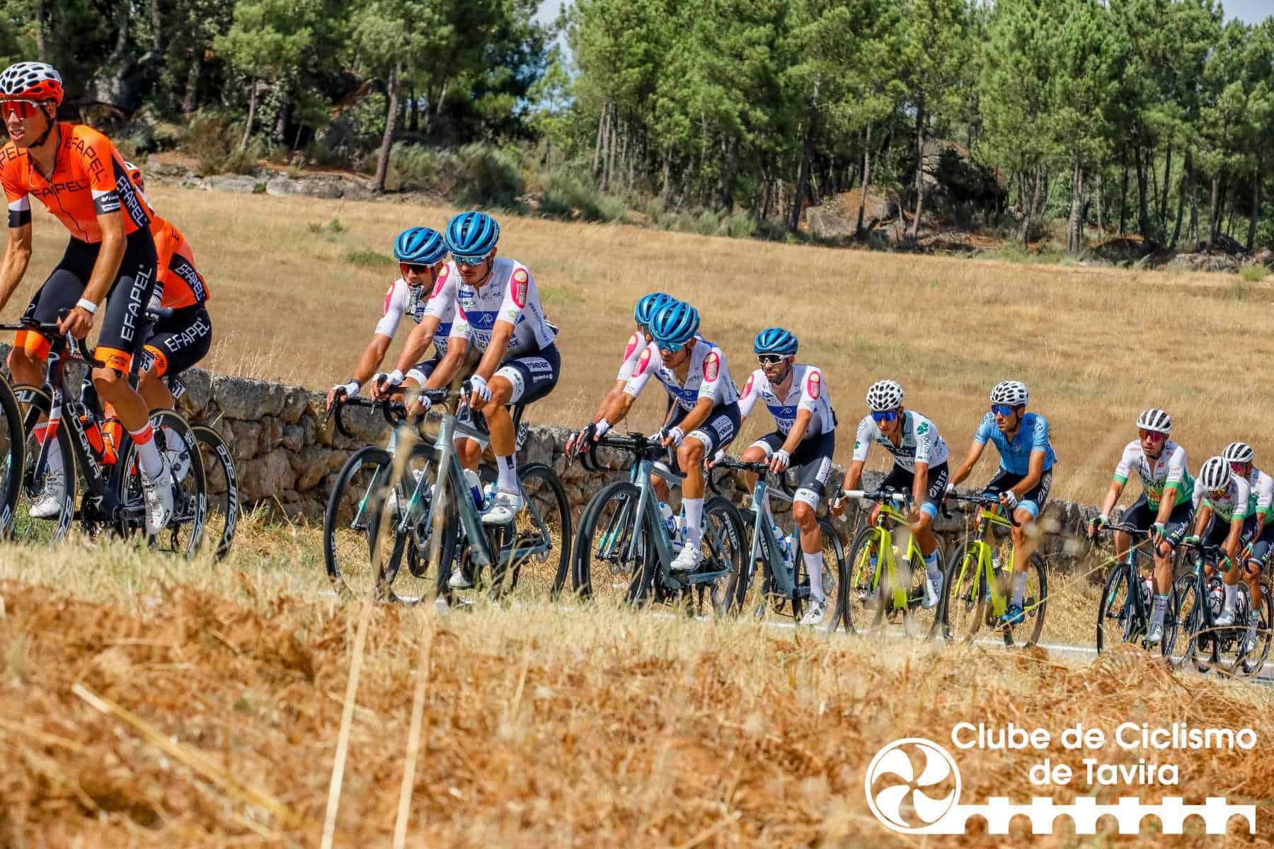 Photo © João Fonseca Photographer Photo © João Fonseca Photographer