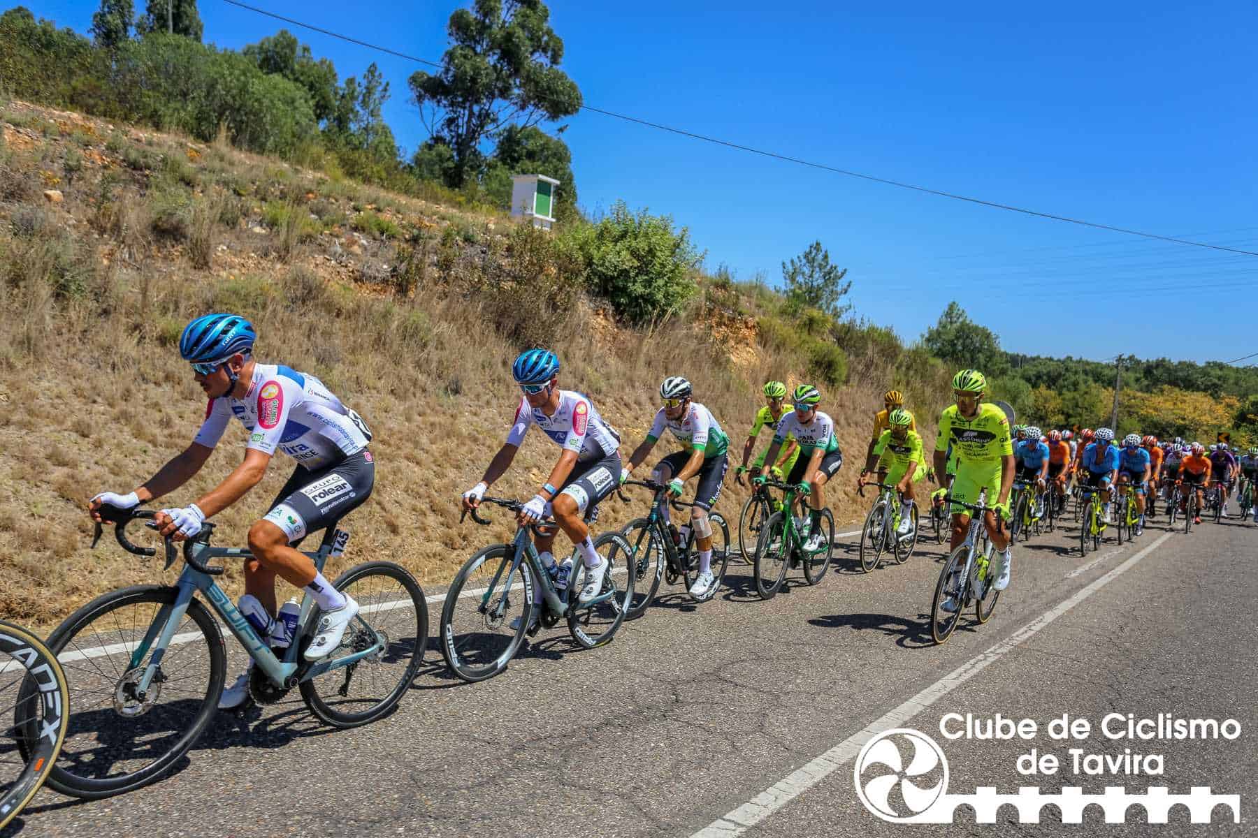 Photo © João Fonseca Photographer Photo © João Fonseca Photographer