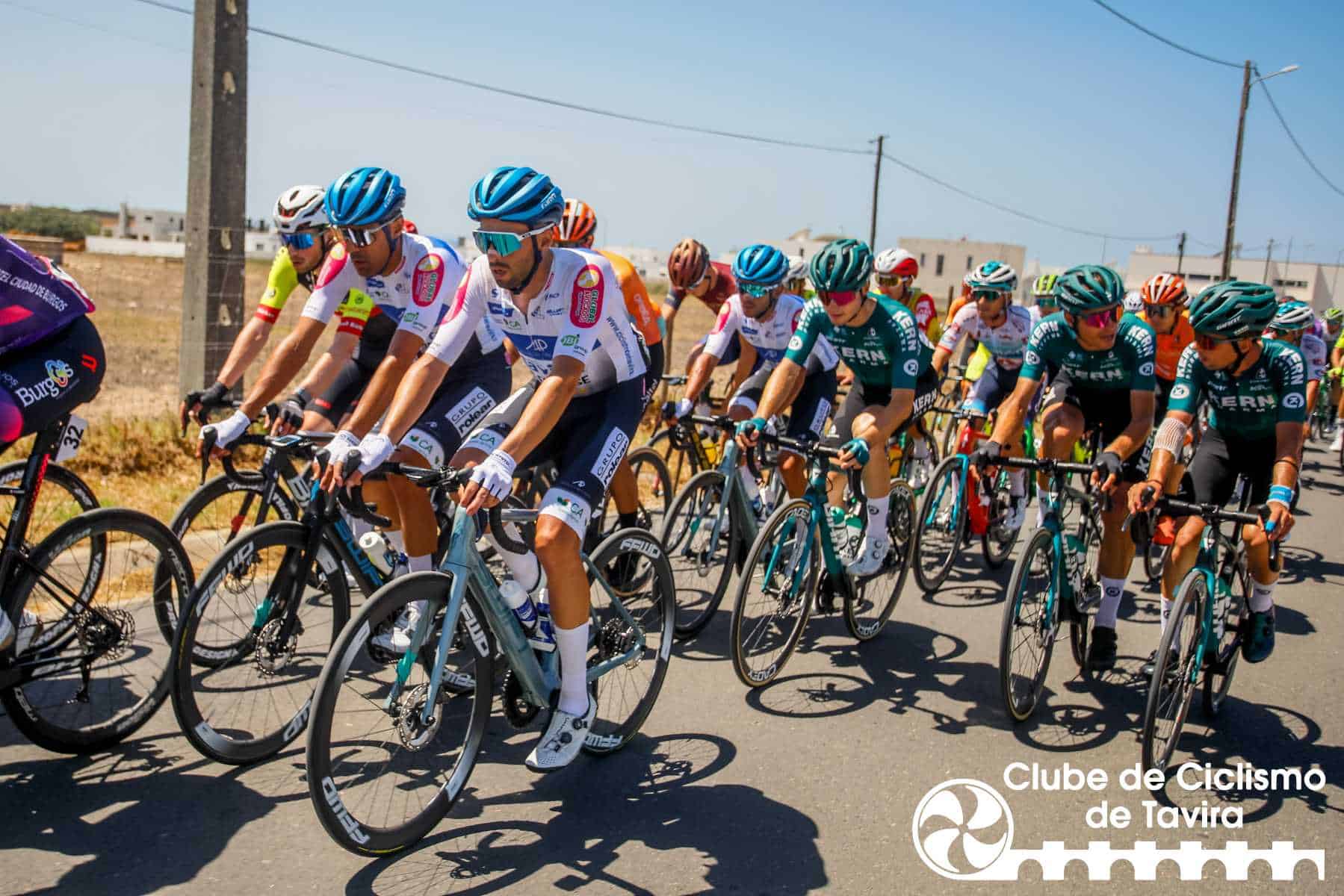 Photo © João Fonseca Photographer Photo © João Fonseca Photographer