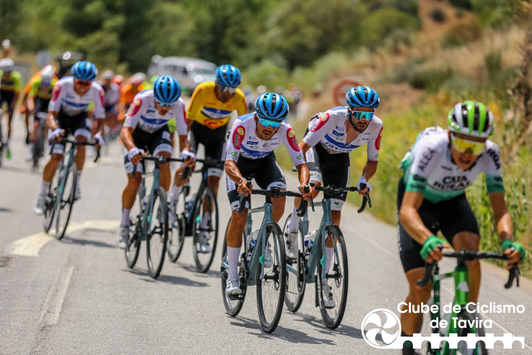 Photo © João Fonseca Photographer Photo © João Fonseca Photographer