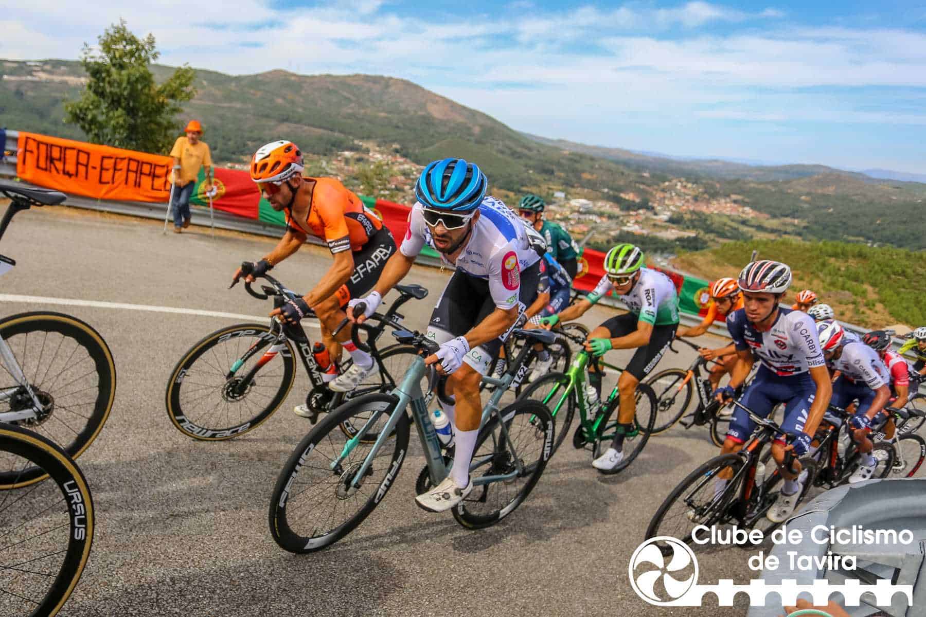 Photo © João Fonseca Photographer Photo © João Fonseca Photographer