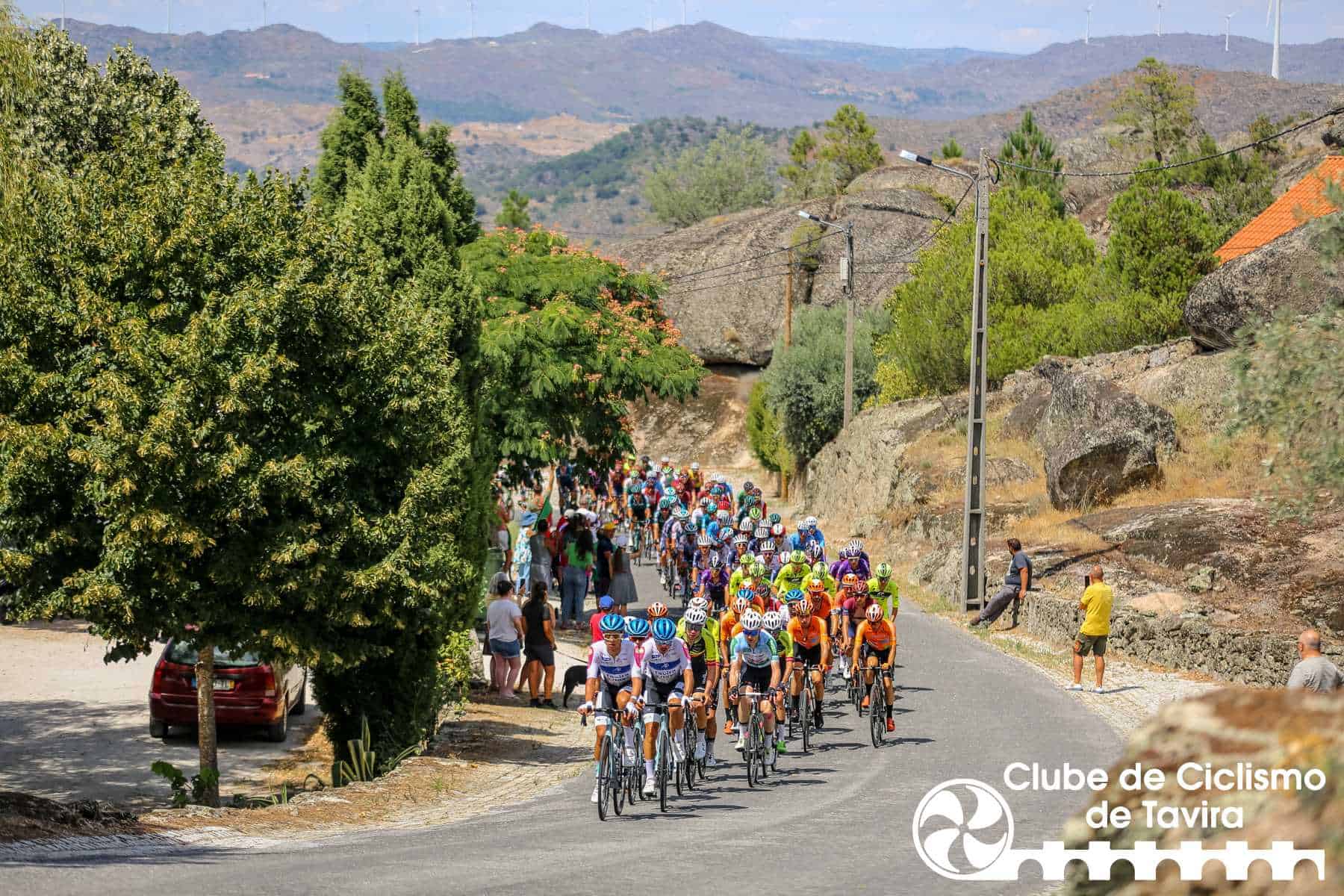 Photo © João Fonseca Photographer Photo © João Fonseca Photographer