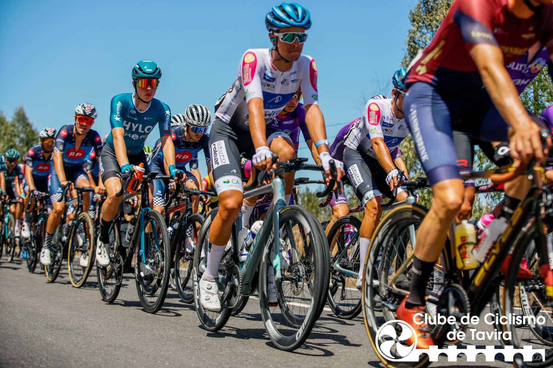 Photo © João Fonseca Photographer Photo © João Fonseca Photographer